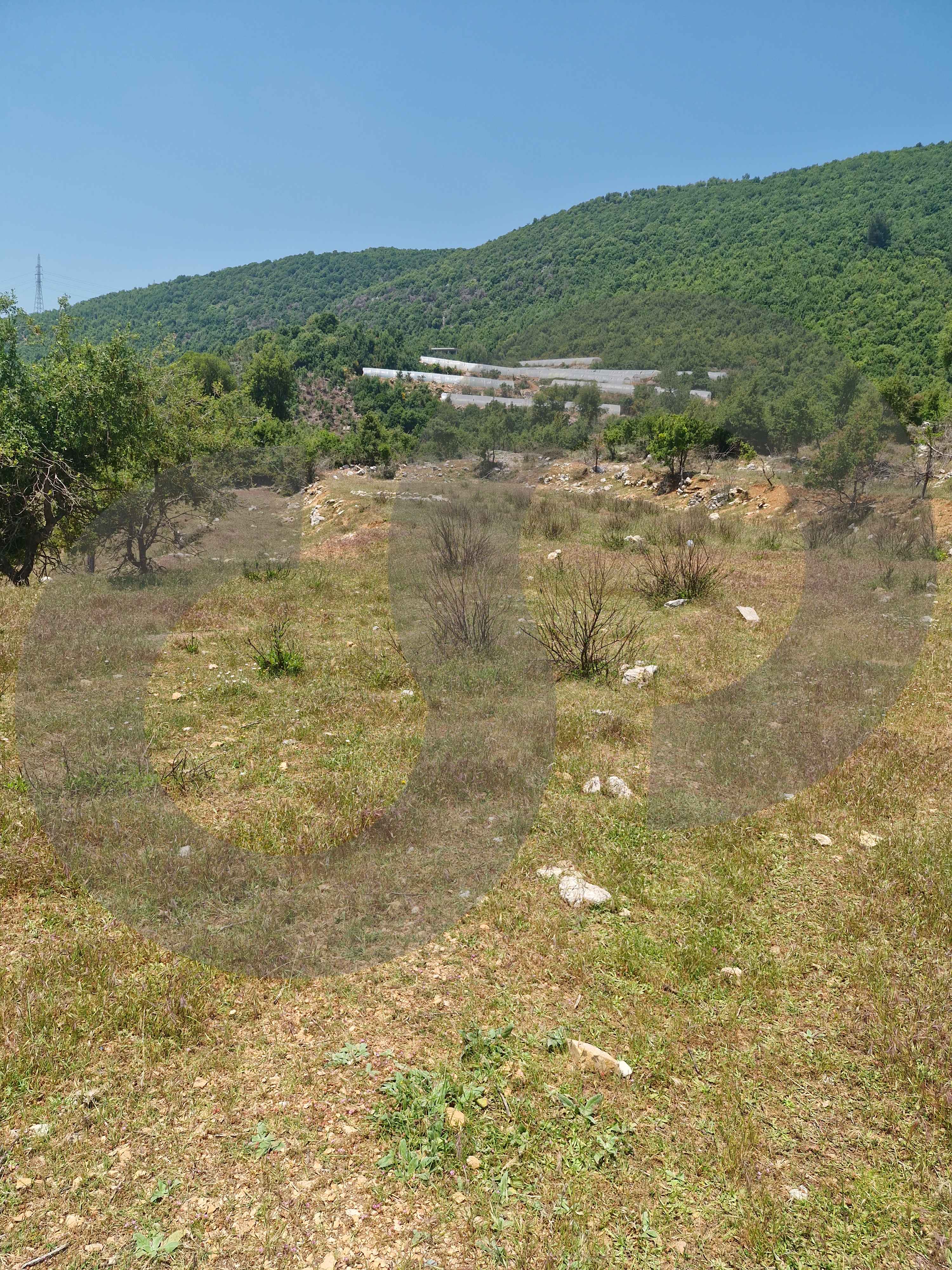 LAND/ peaceful area of Jouret El Qattine — الصورة 3