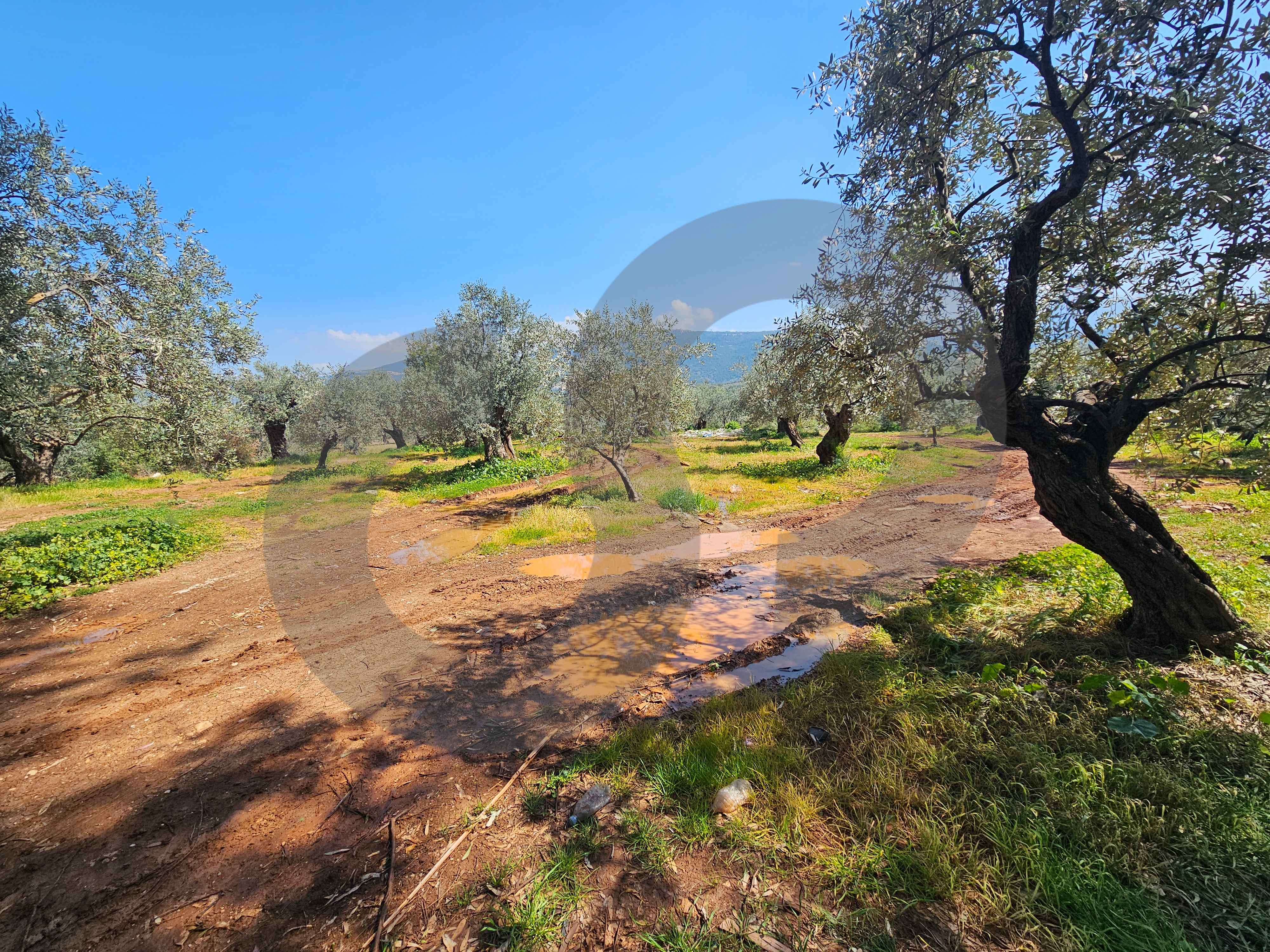 Land for Sale in Sahel Jdeideh – Zgharta — الصورة 2