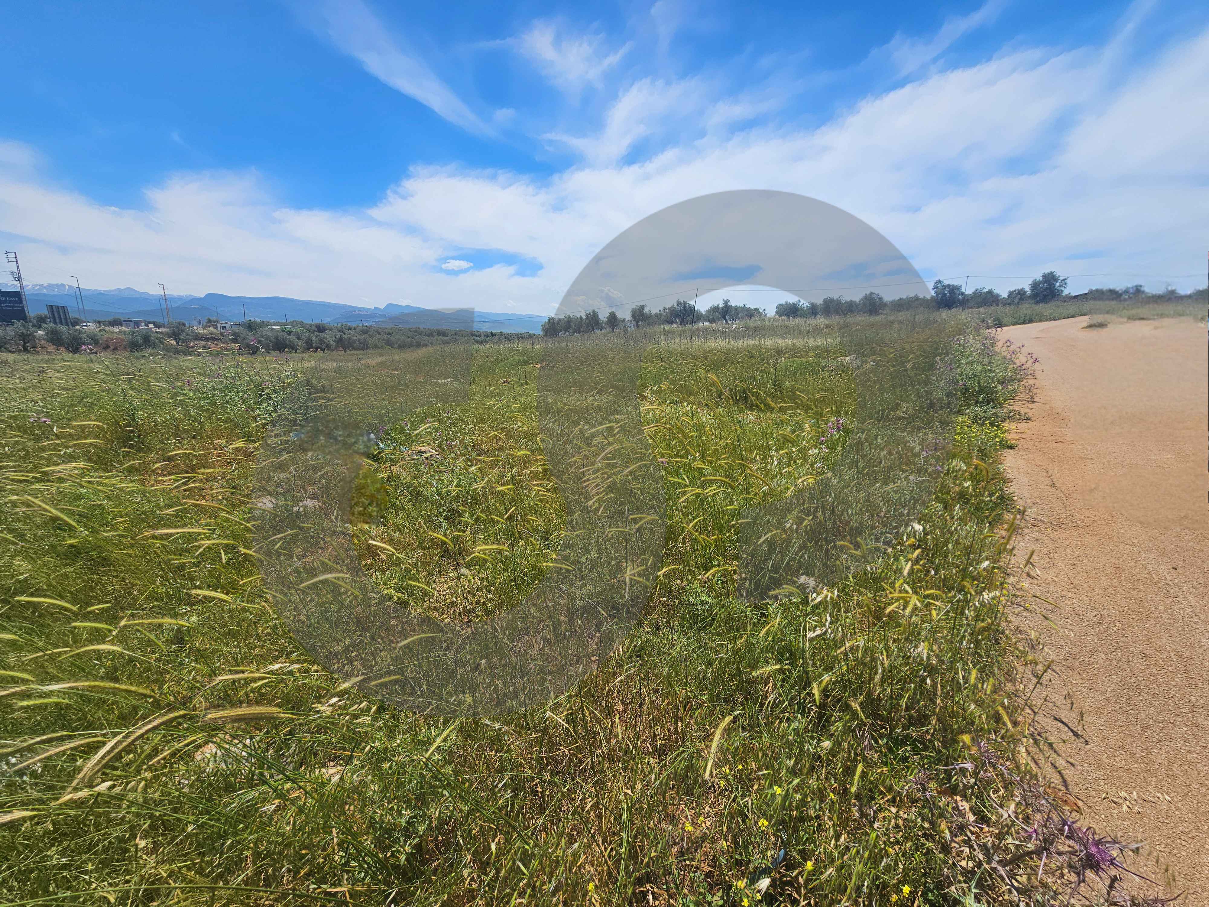 LAND/Upscale neighborhood /Koura/ 25/50 zoning — photo 2