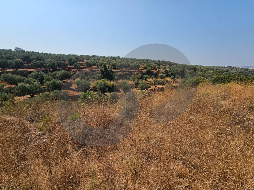 INVESTMENT OPPORTUNITY/PROJECT/PRIME LOCATION/ZGHARTA — الصورة 2