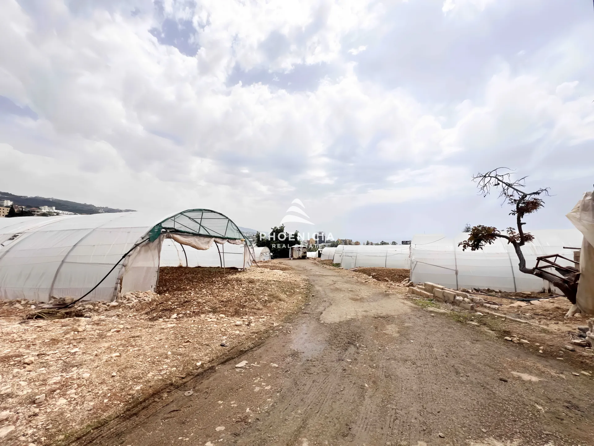 Land for Sale in Qartaboun — الصورة 3