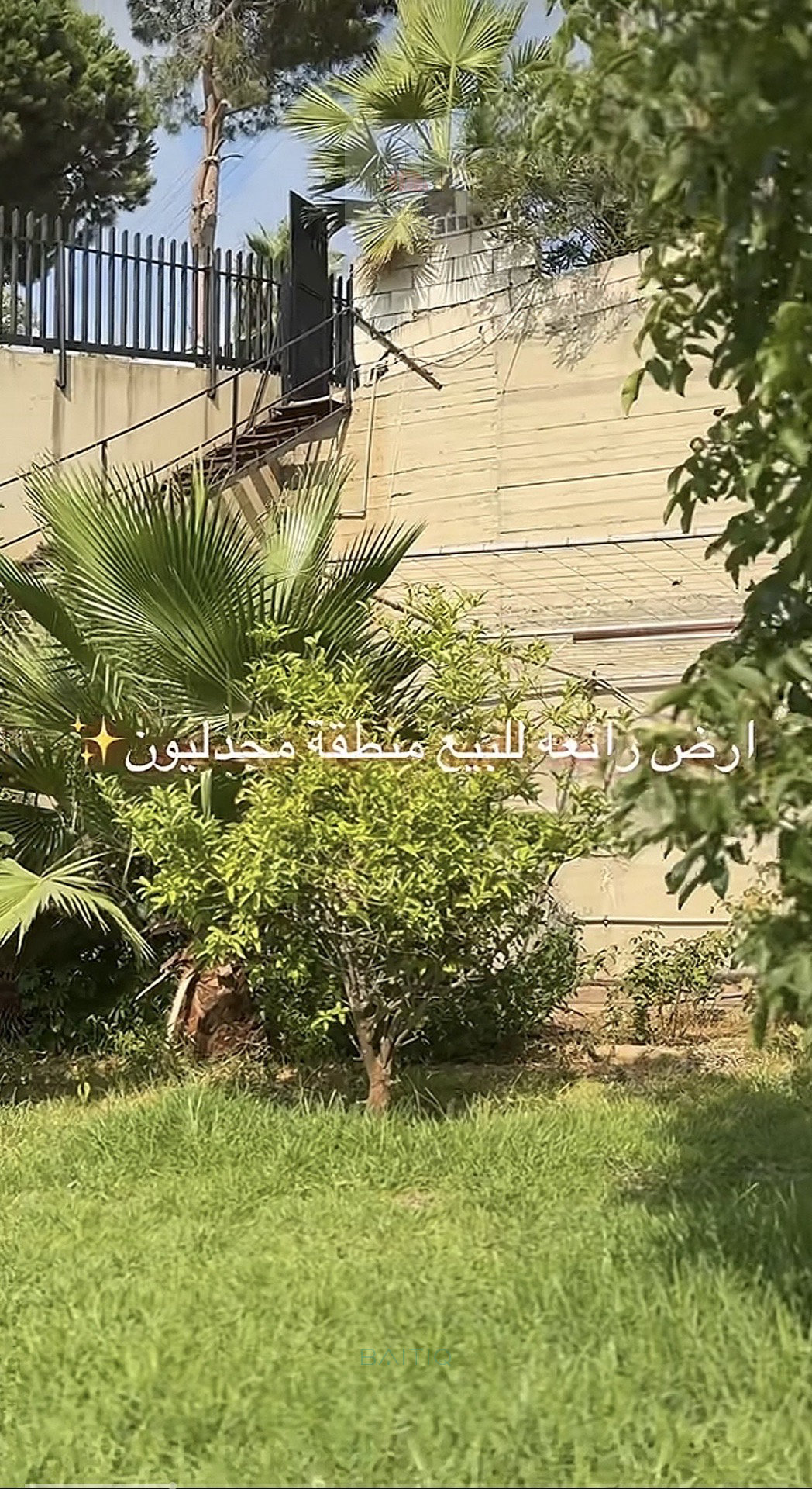 أرض للبيع مجدليون — الصورة 4