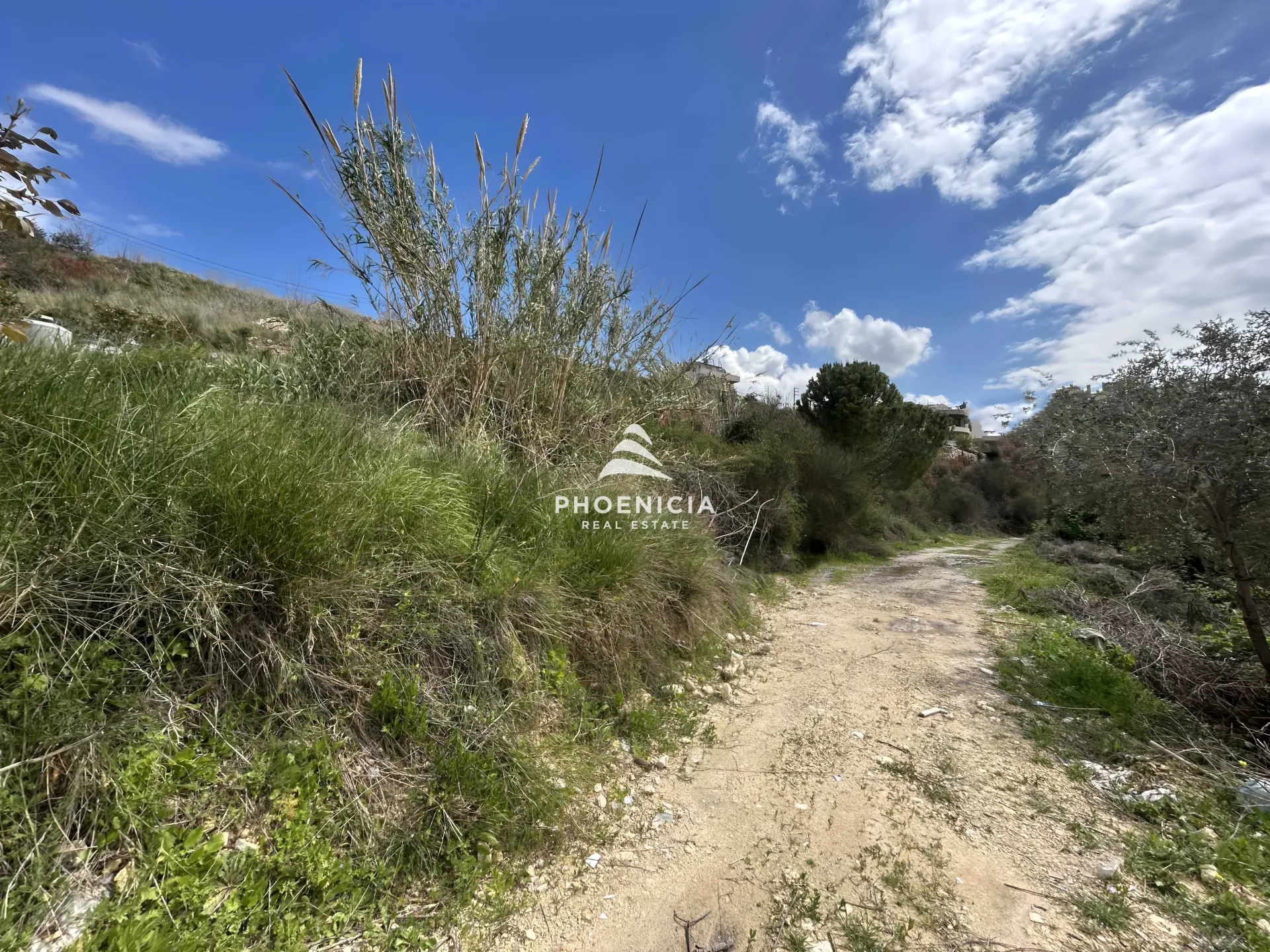 Land for Sale in Habboub — الصورة 3
