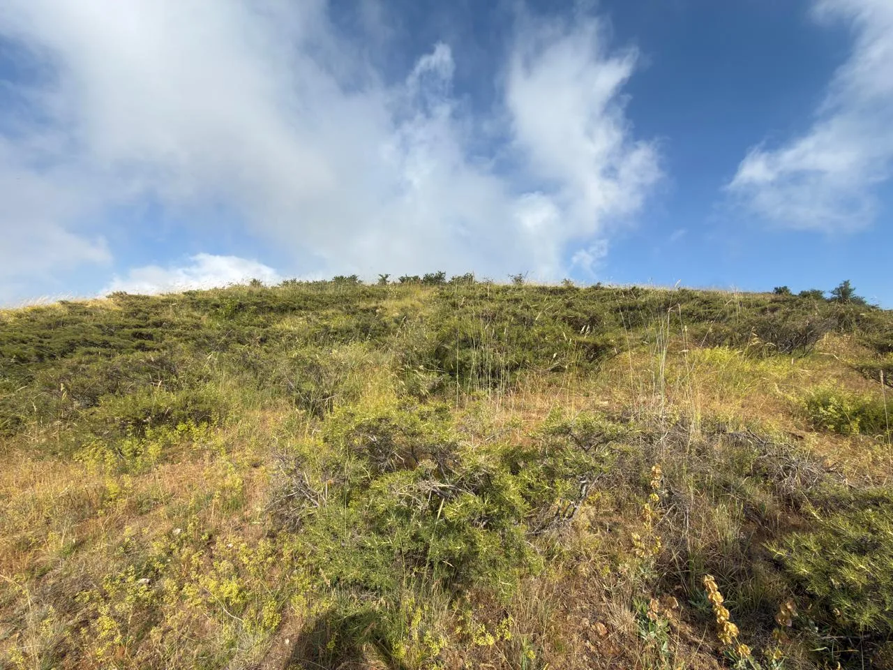 Land for Sale in Tannourine El Tahta