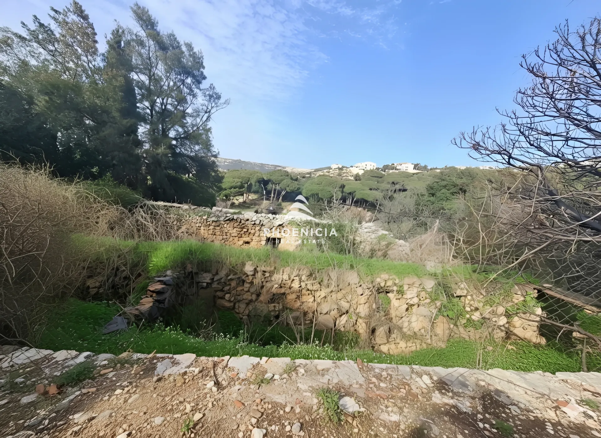 Land for Sale in Batroun — الصورة 4
