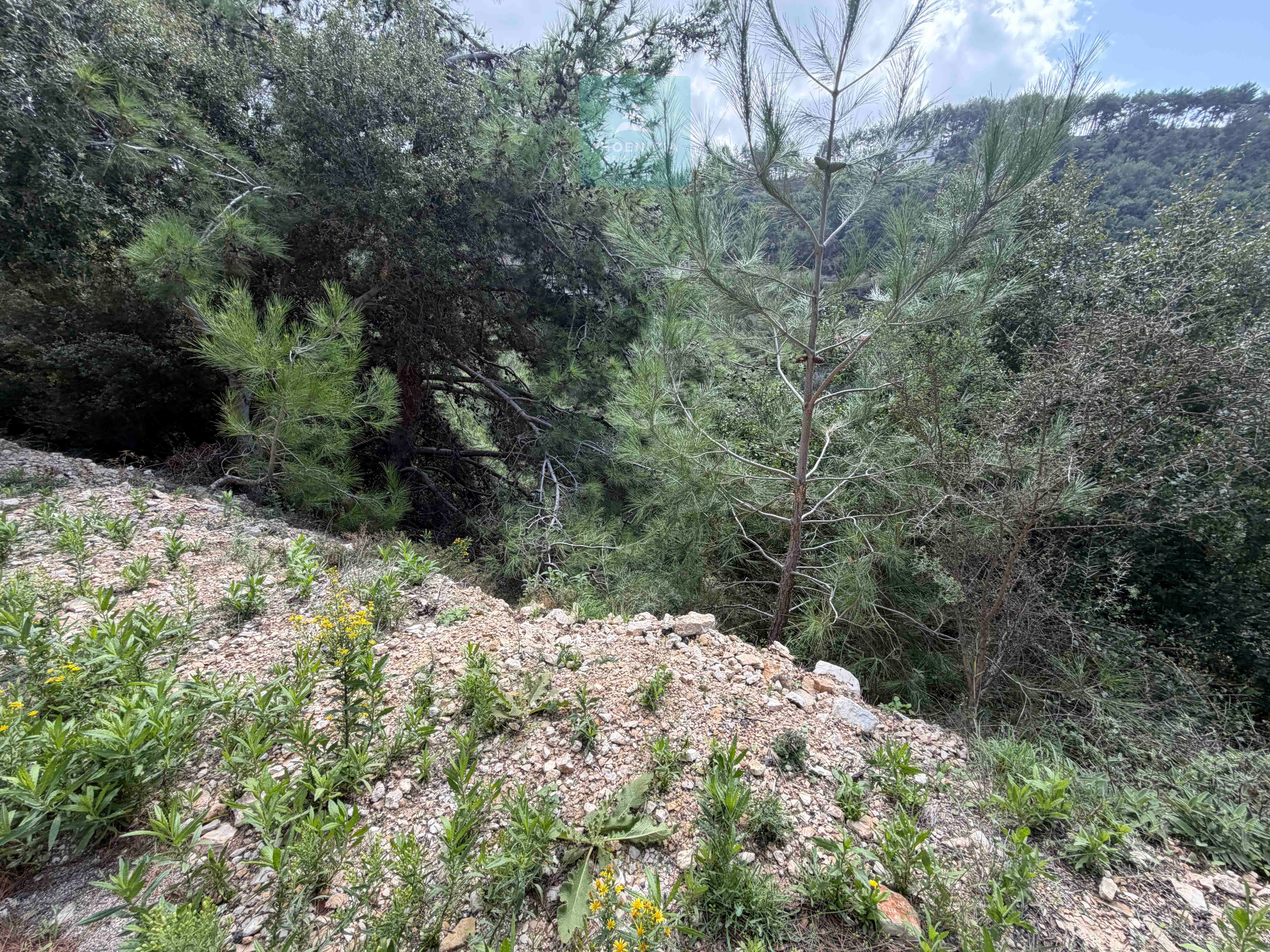 Land For Sale In Maaysrah | Open View | أرض للبيع — الصورة 5