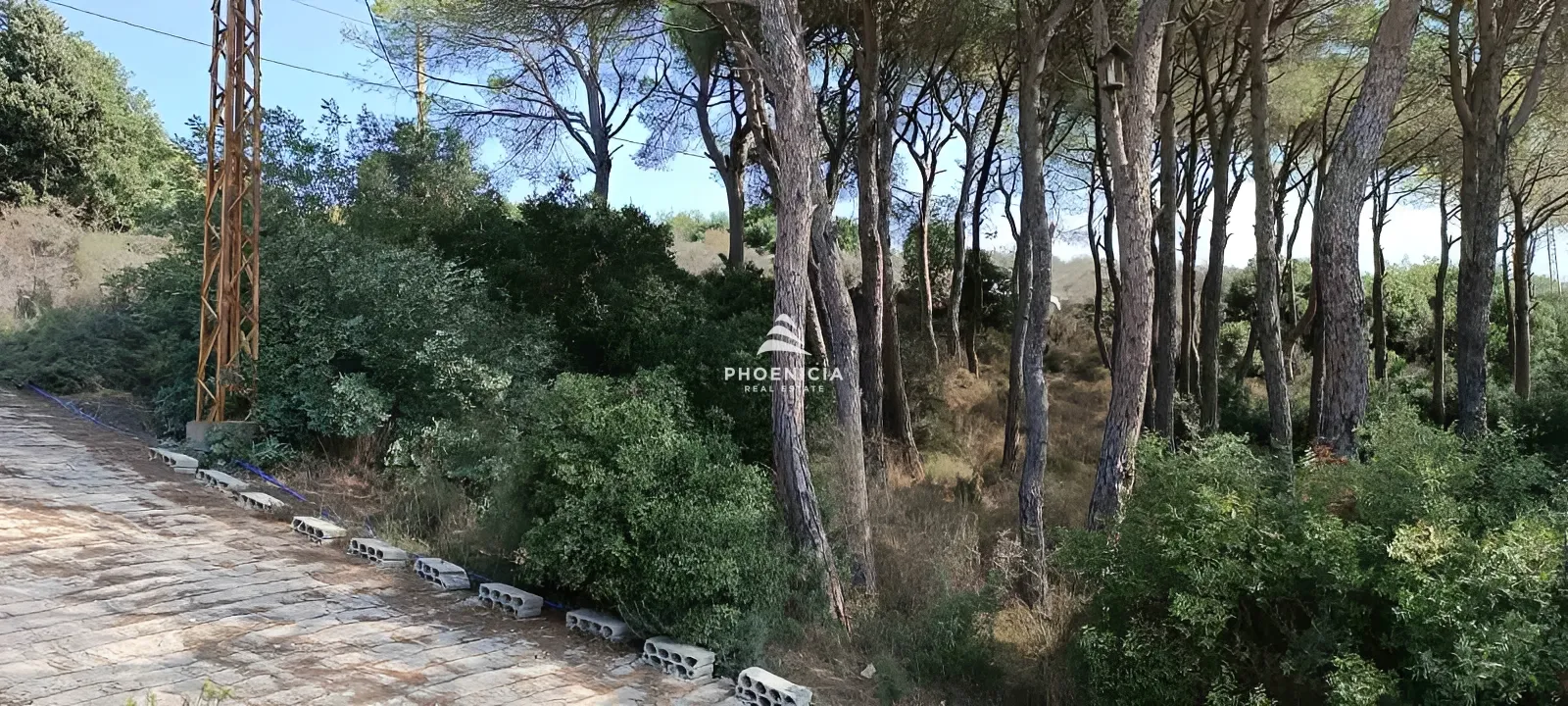 Land for Sale in Gharzouz — الصورة 10