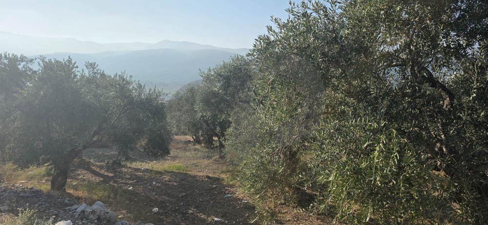 PRIME LAND/EXCELLENT ACCESSIBILITY/ATTRACTIVE LOCATION/BZIZA,KOURA — الصورة 2