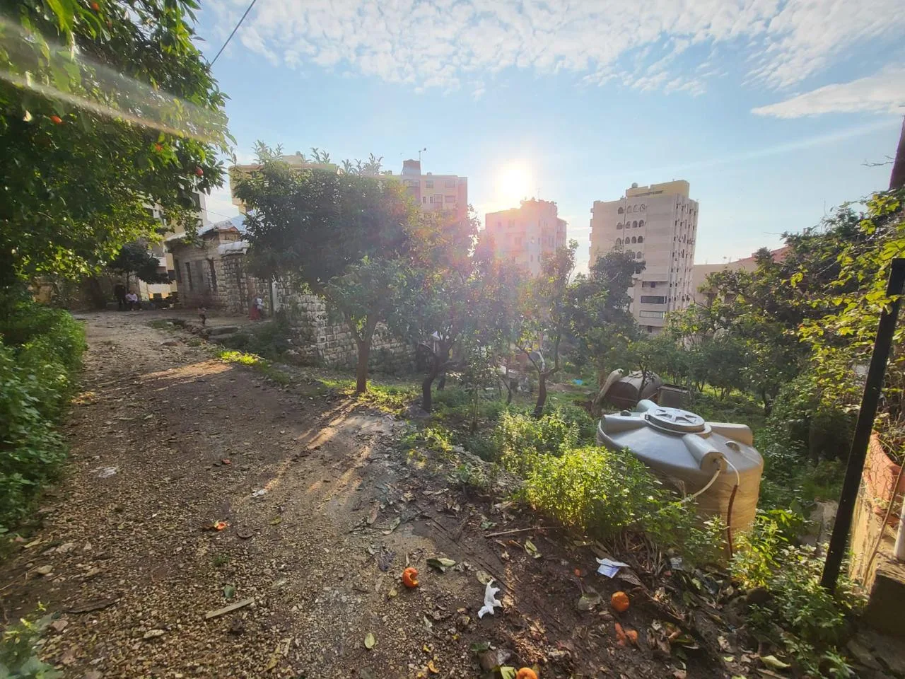 Land for Sale in Sahel Aalma, Lebanon — الصورة 2