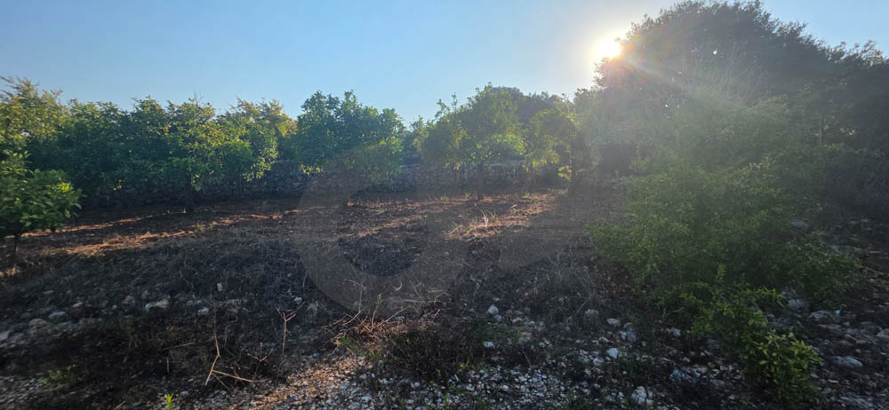 rare opportunity/prime plot/road access/Excellent location/ BTERROMINE, KOURA — photo 2
