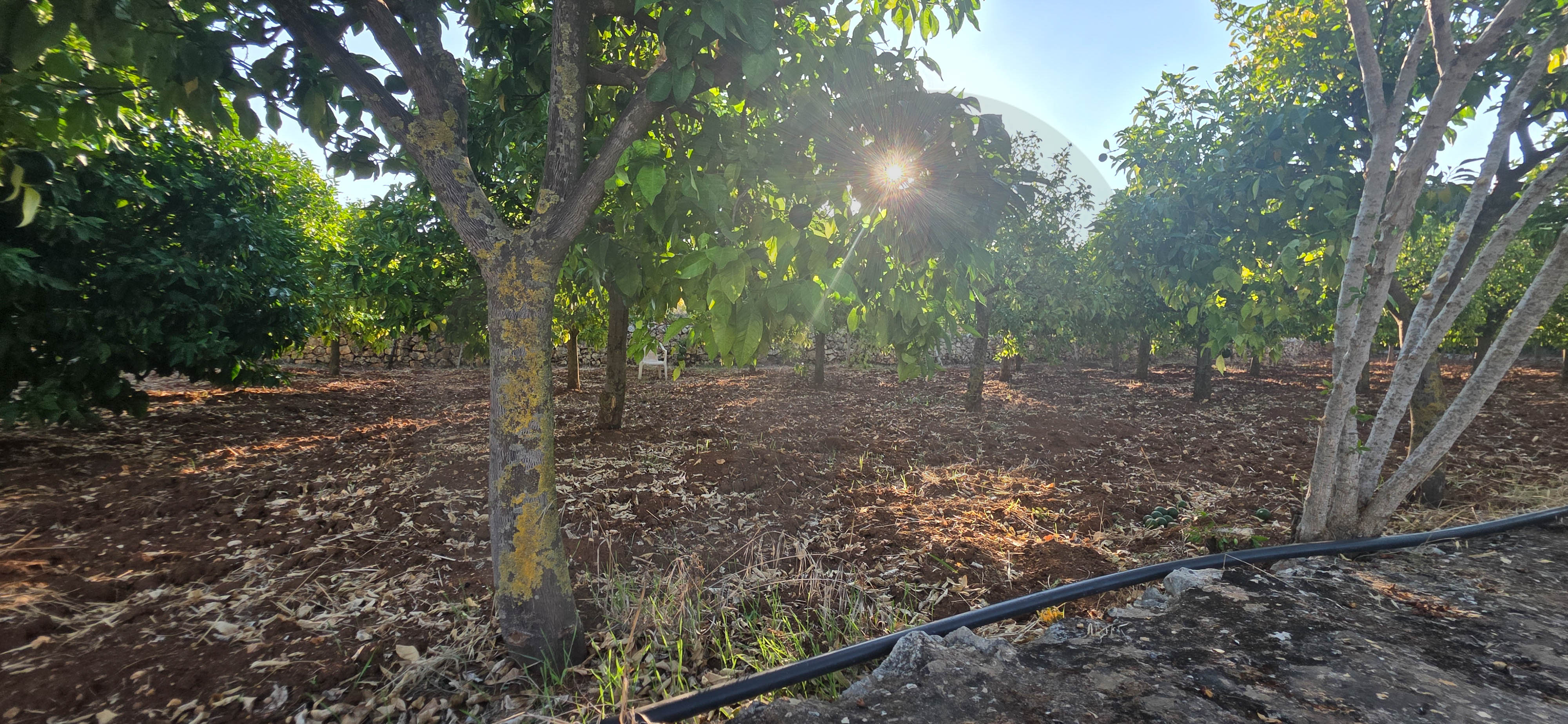 Prime location/villa's zone/main road /Batroumin-koura — الصورة 2