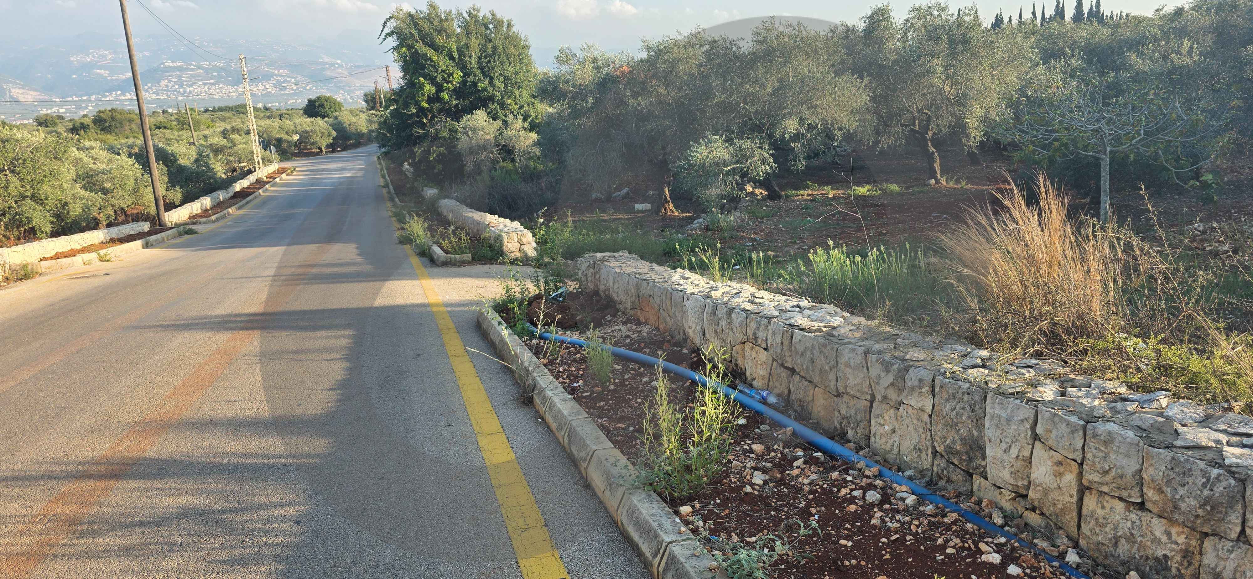 PREMIUM LAND/BATROUMINE, KOURA / Direct road access — الصورة 2