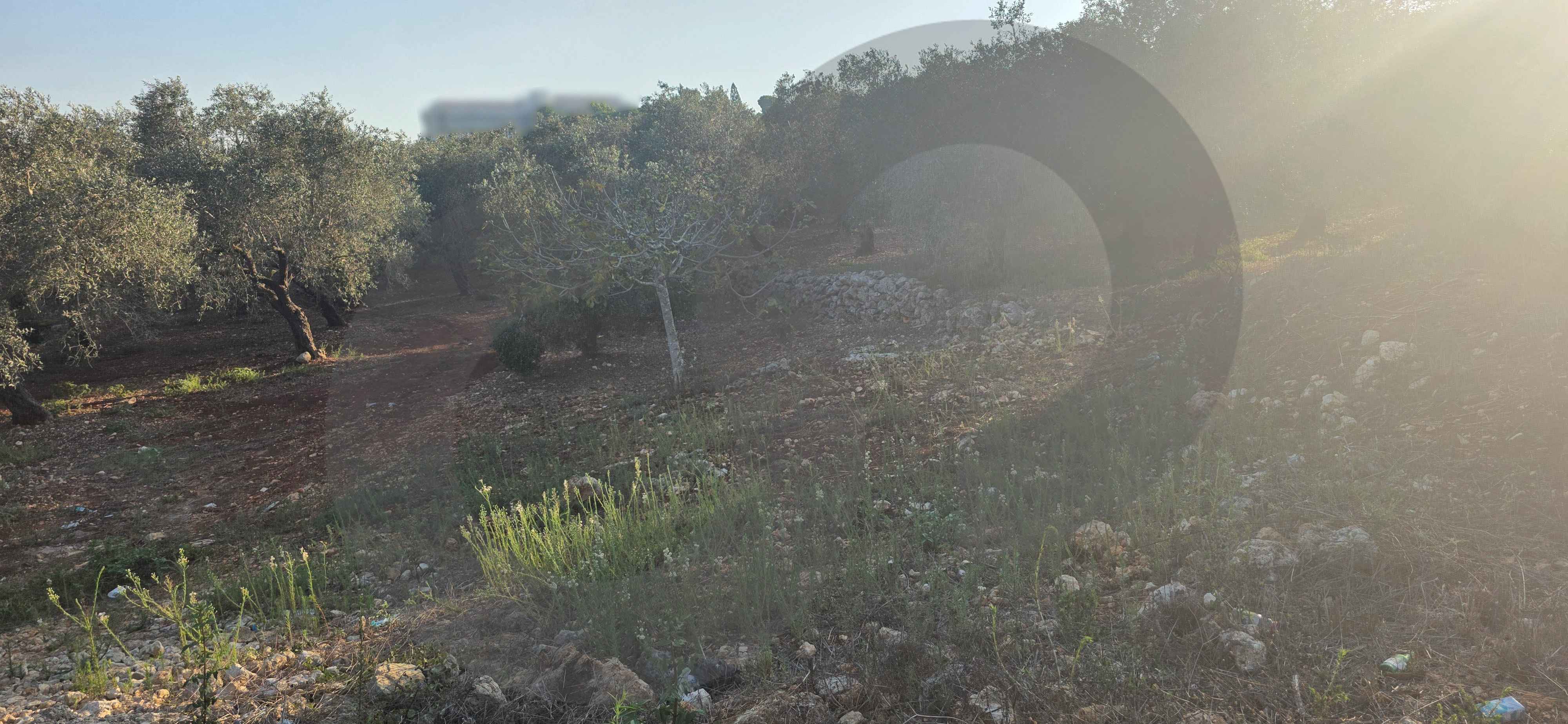 PREMIUM LAND/BATROUMINE, KOURA / Direct road access — الصورة 3