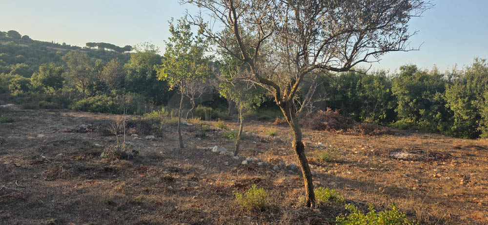 quiet setting/ peaceful atmosphere/Road access /large size/BTERROMINE, KOURA — photo 3