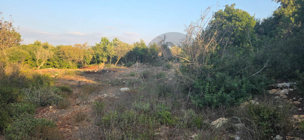 quiet setting/ peaceful atmosphere/Road access /large size/BTERROMINE, KOURA — photo 2