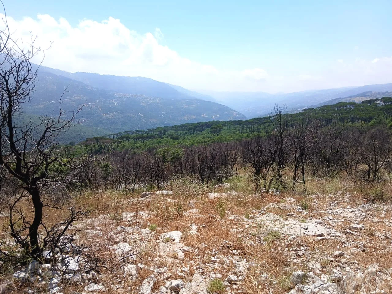 Land for Sale in Mtein — الصورة 3