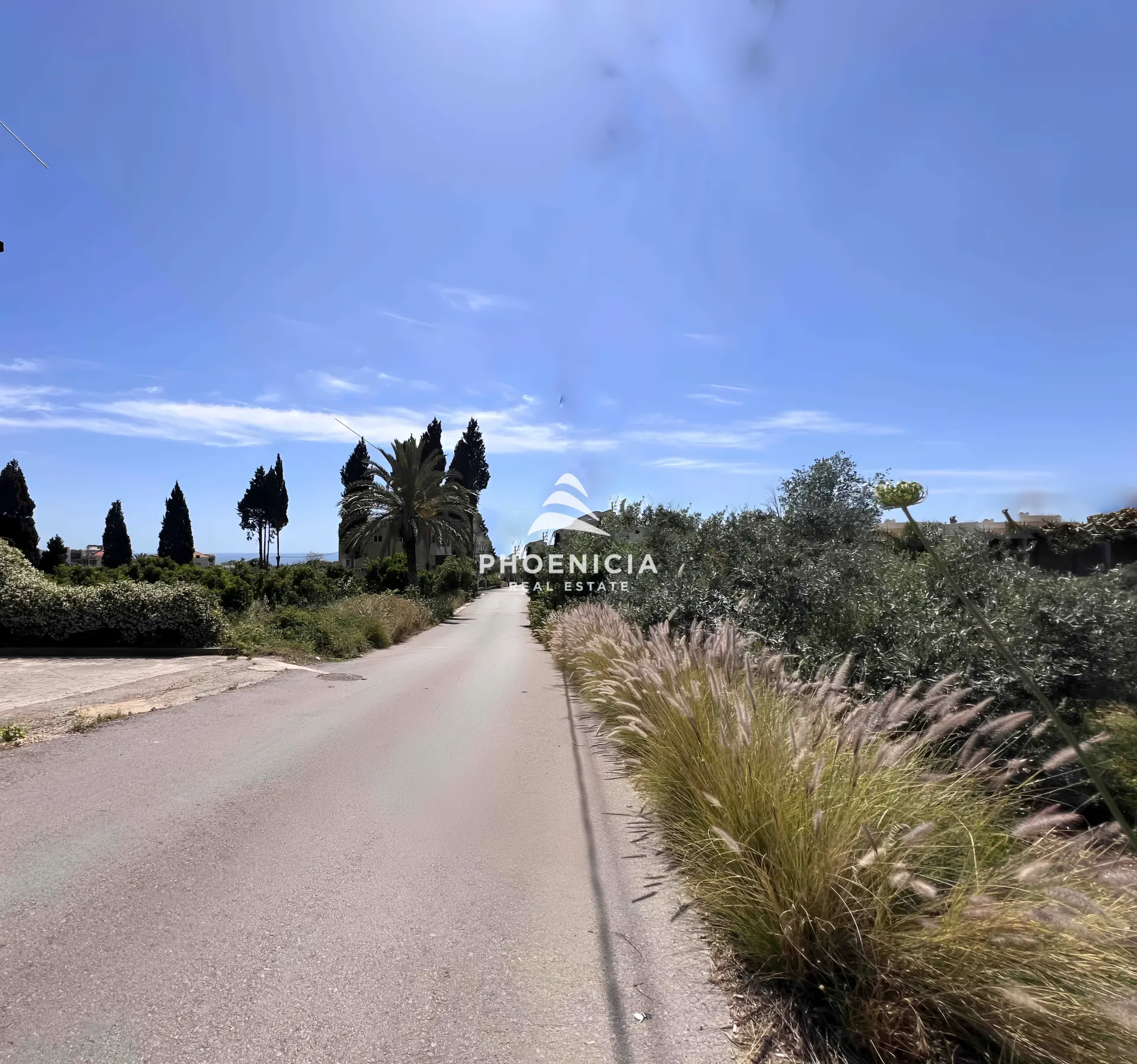 Land for Sale in Batroun — الصورة 9