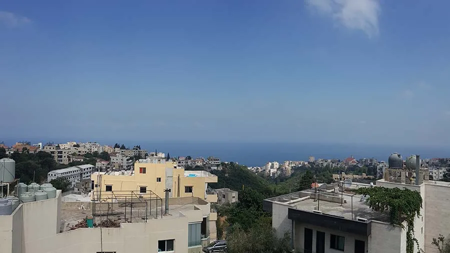 Apartment for Sale in Safra, Lebanon — الصورة 4
