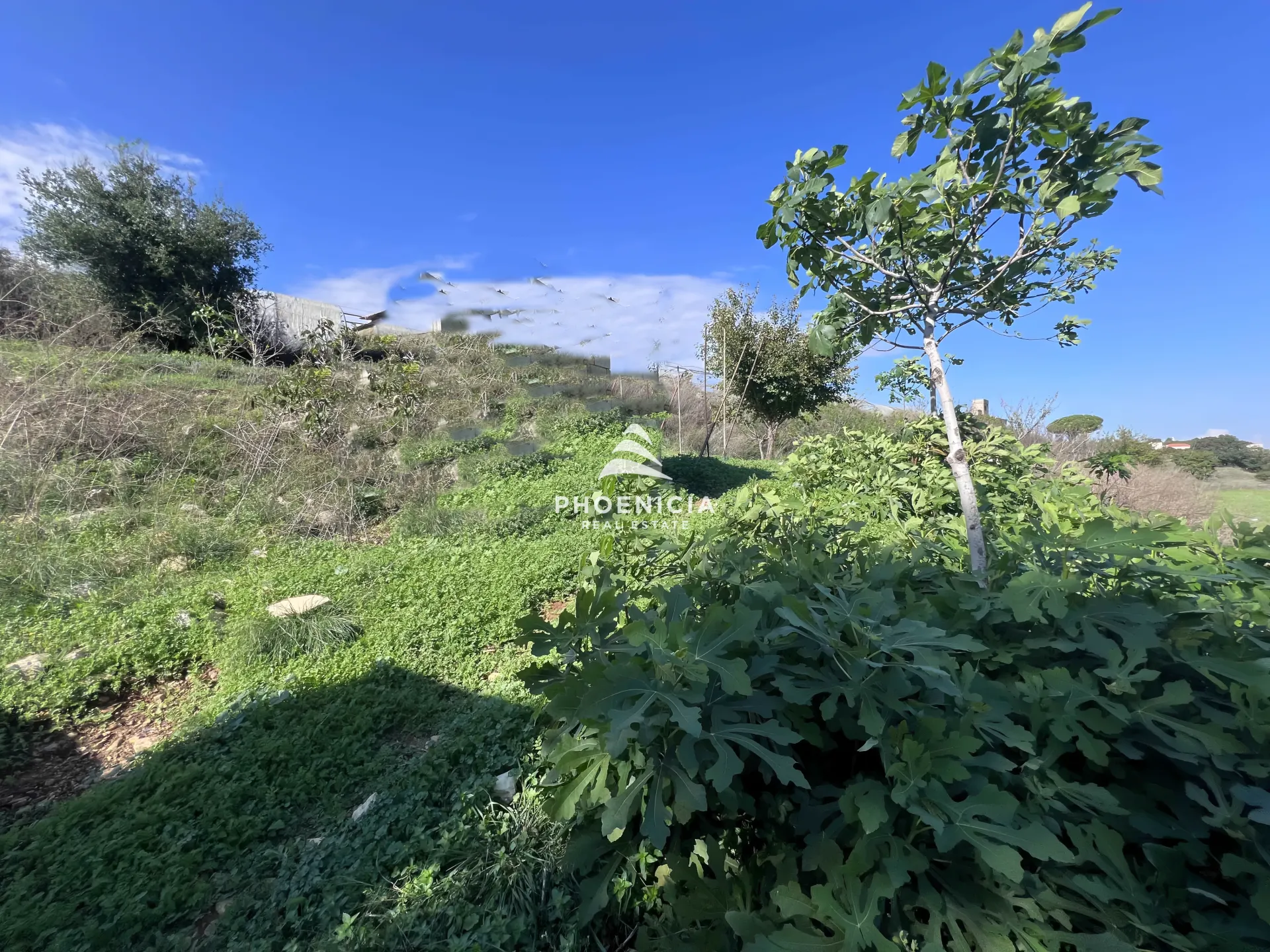 Land for Sale in Maad — الصورة 4