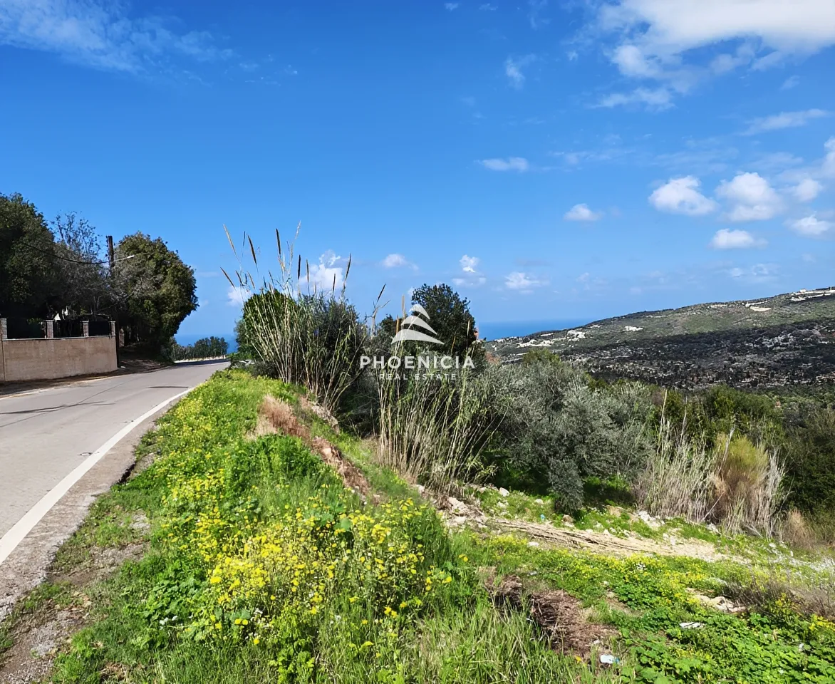 Land for Sale in Chikhane — الصورة 3