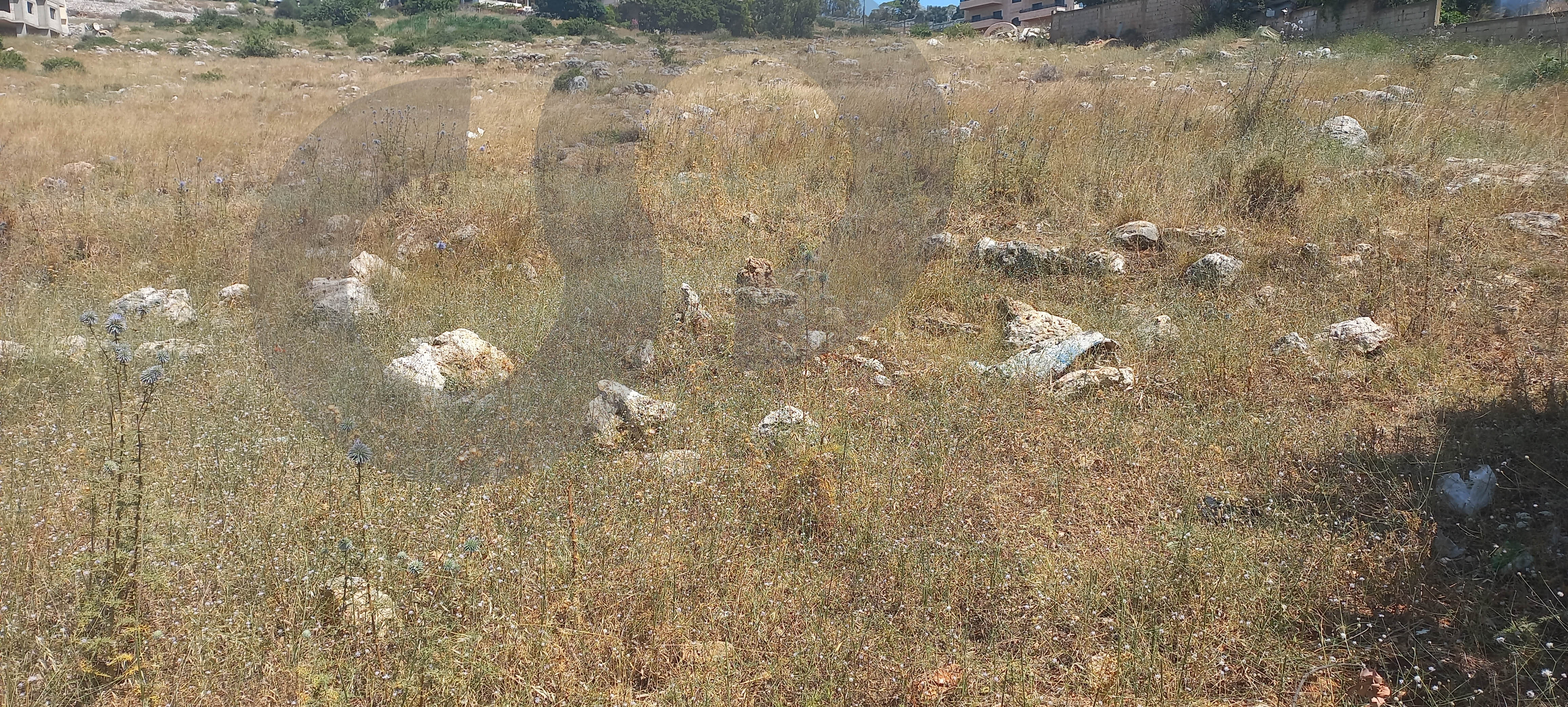 9720 SQM Land for Sale in Jiyeh - Chouf — الصورة 2