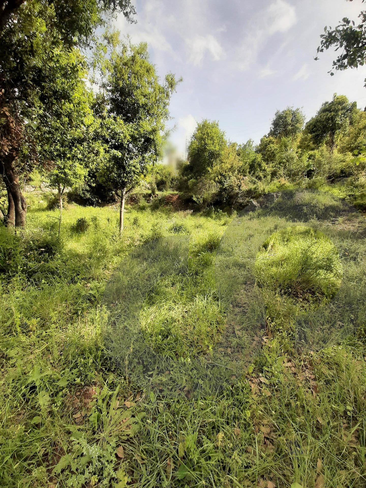 completely flat ,ideal for investment project-Aamchit — photo 2