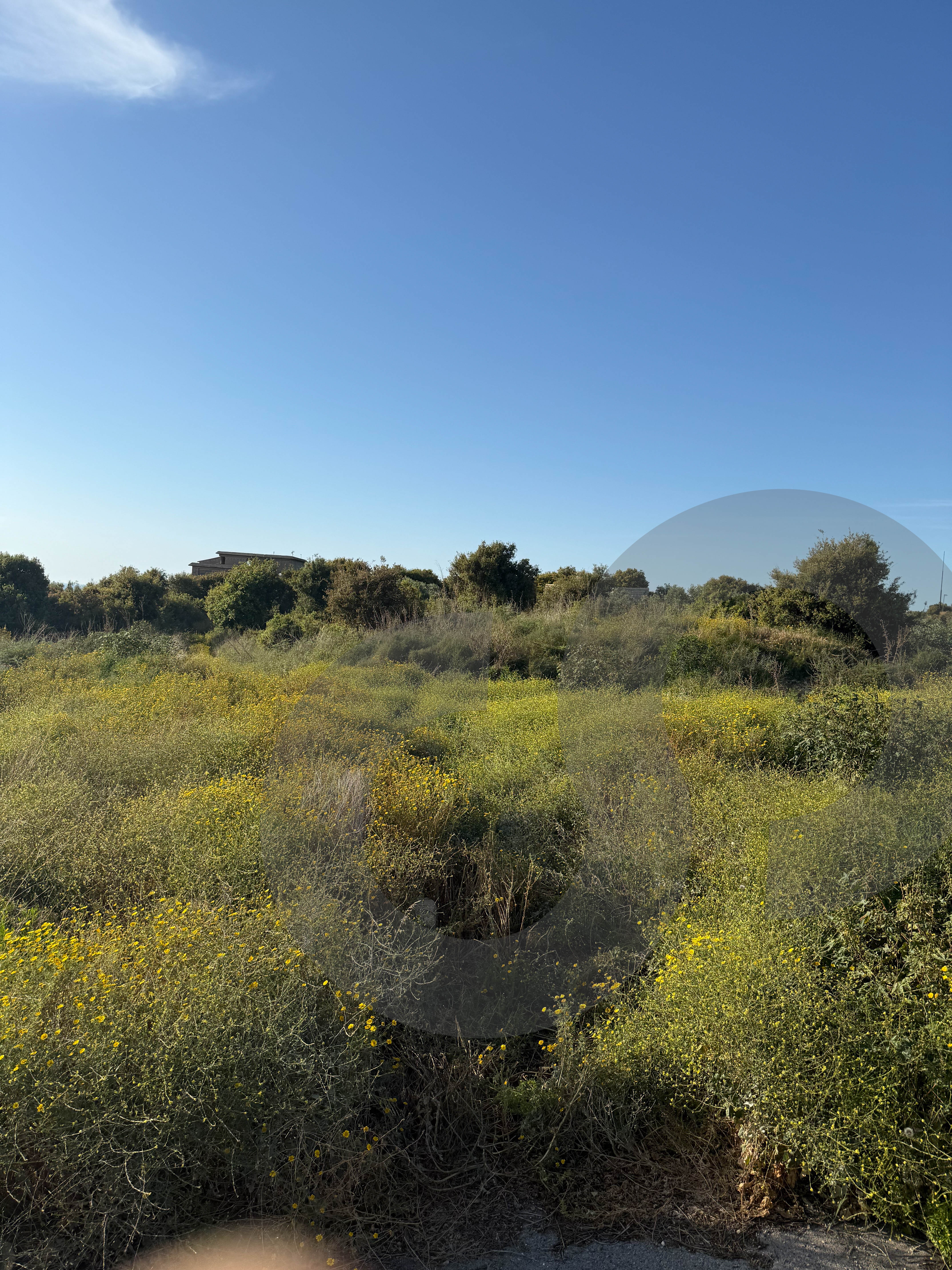 unobstructed sea & mountain view -permit -Barbara, Jbeil — الصورة 2