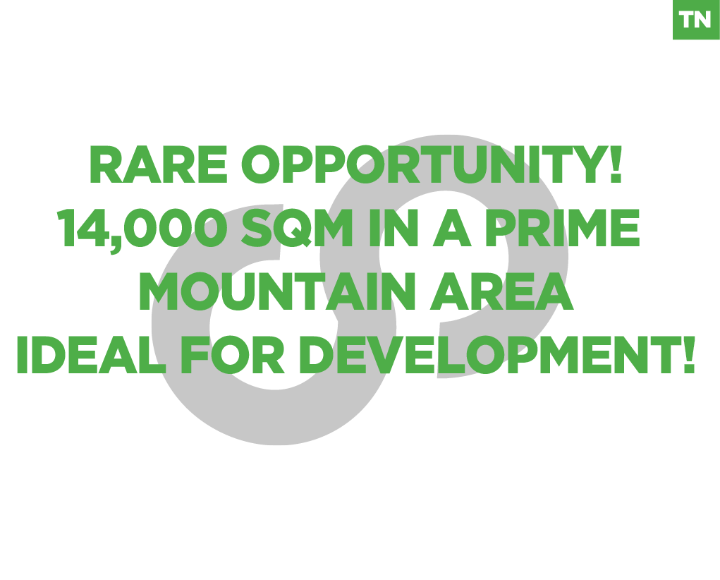 Massive 14,000 SQM Land for Sale in Ejbea – Ehden