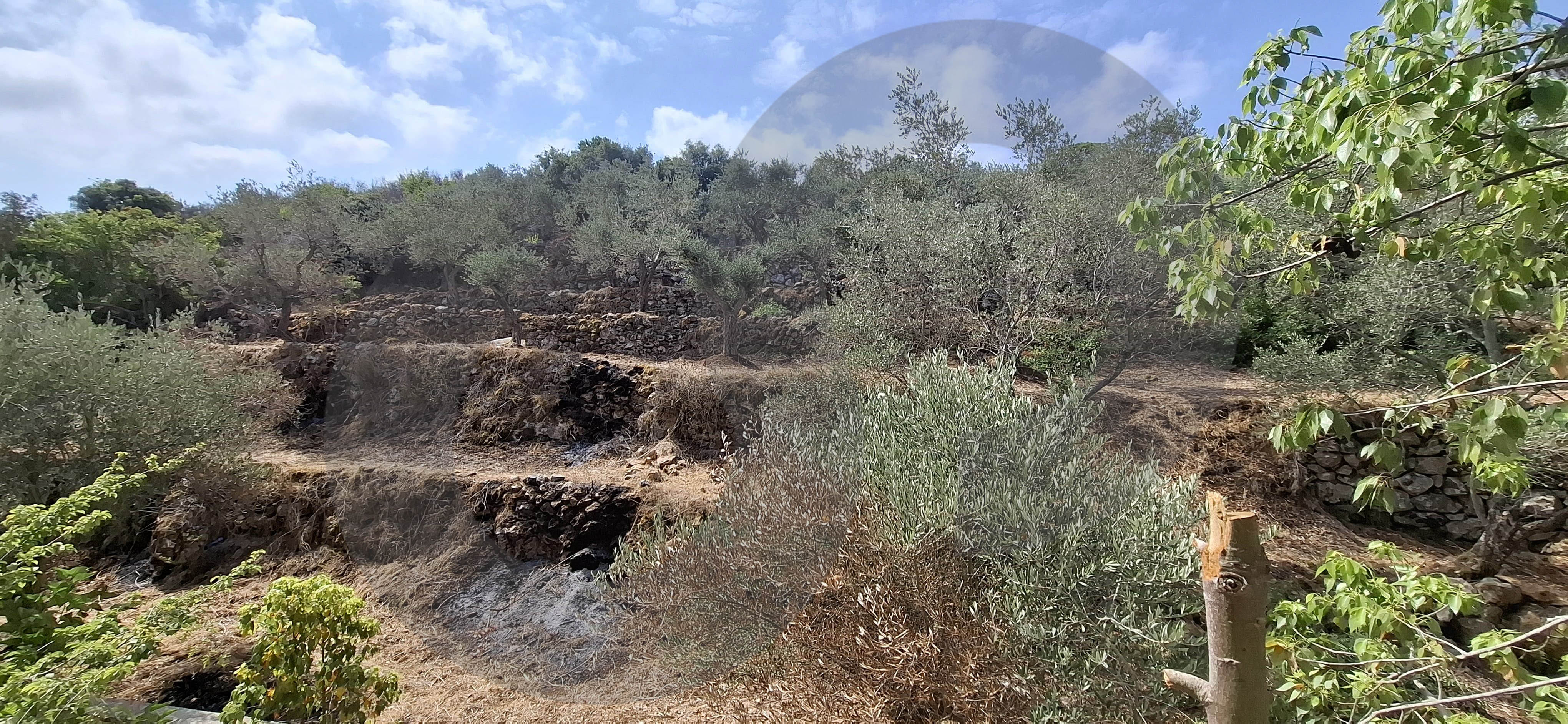 Mini Villa for Sale in Baasir - Chouf — الصورة 2
