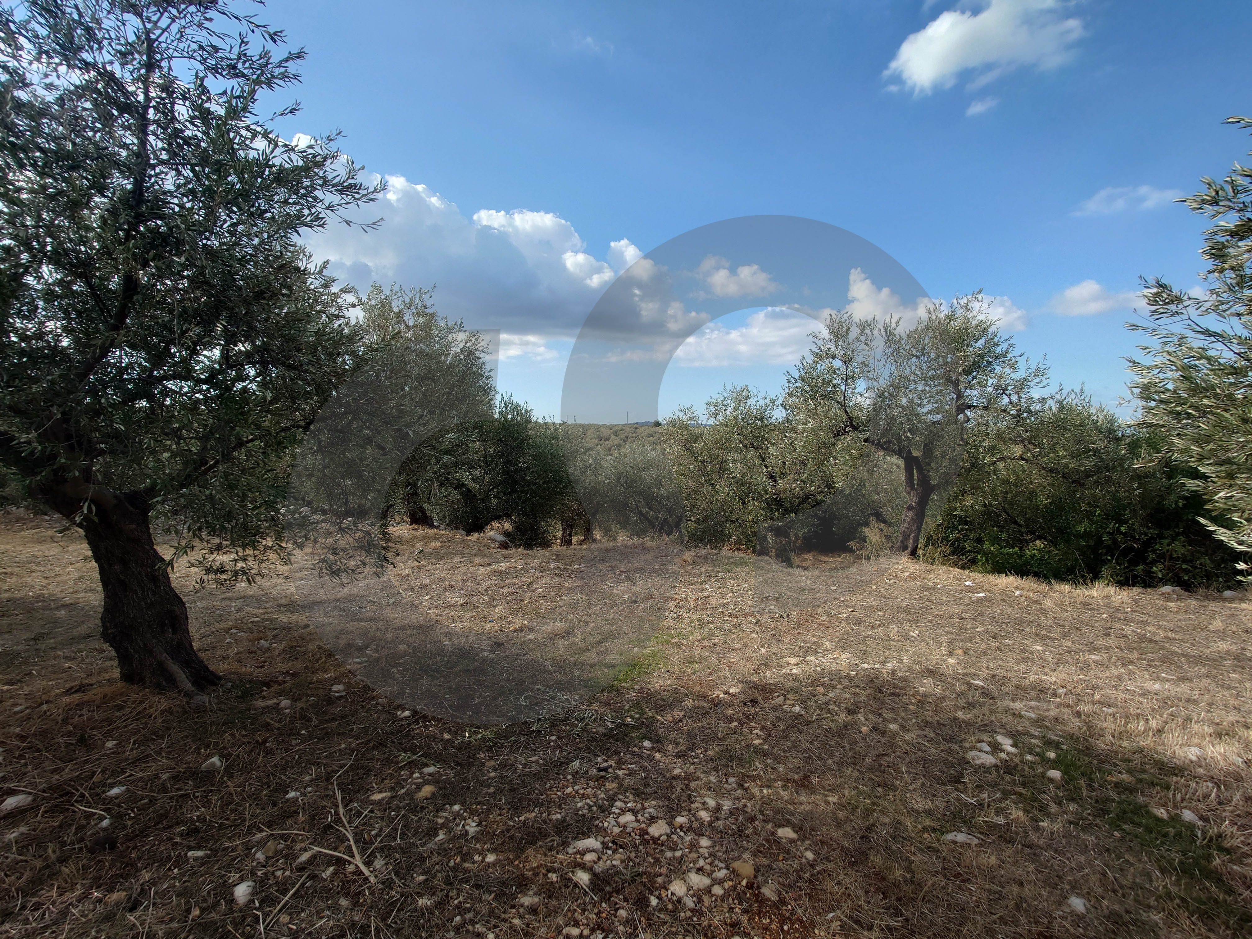 unobstructed open view, great deal, zgharta, bnache — الصورة 2