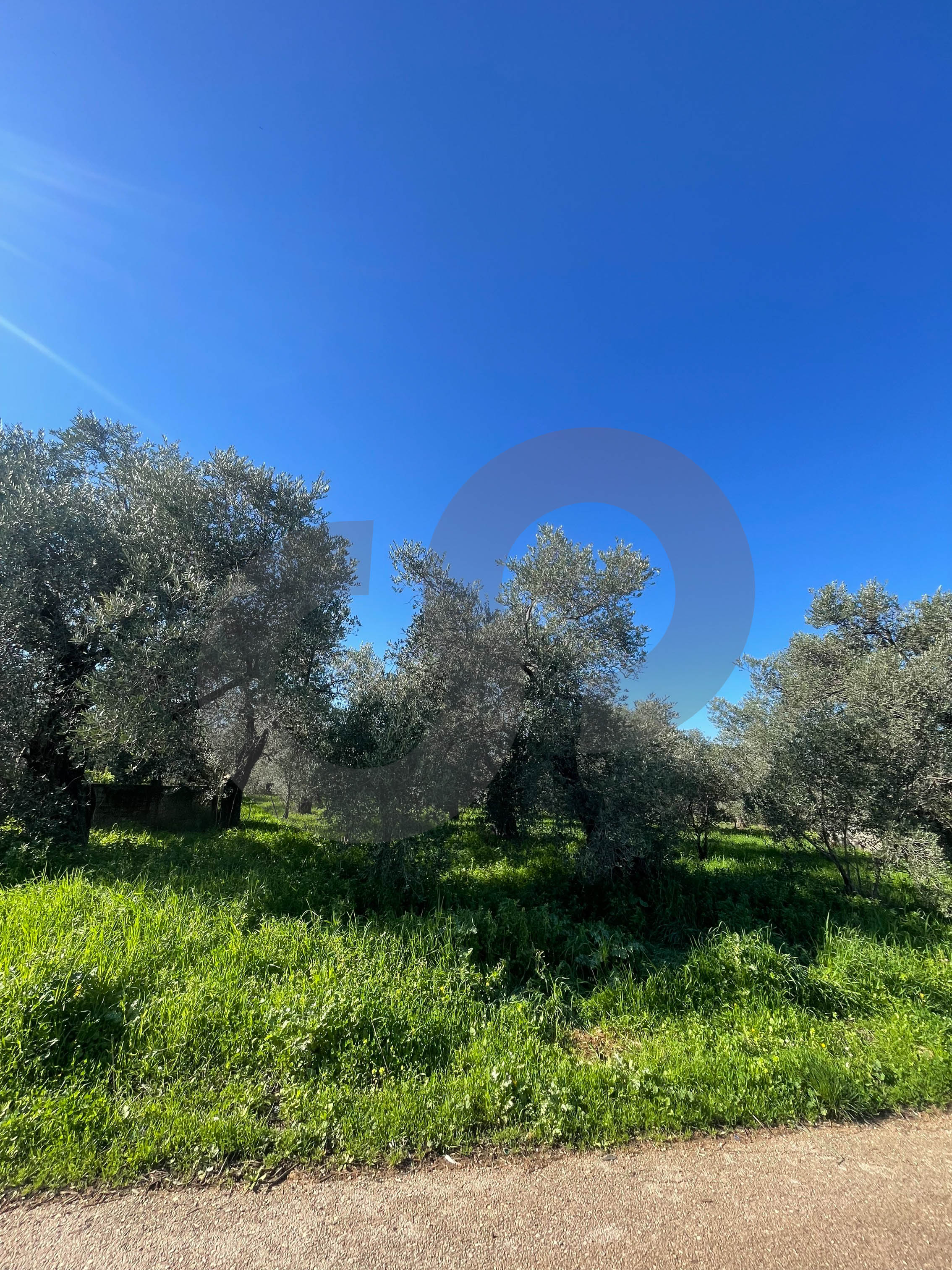 main road frontage, prime location,Zgharta,rashiine — الصورة 2