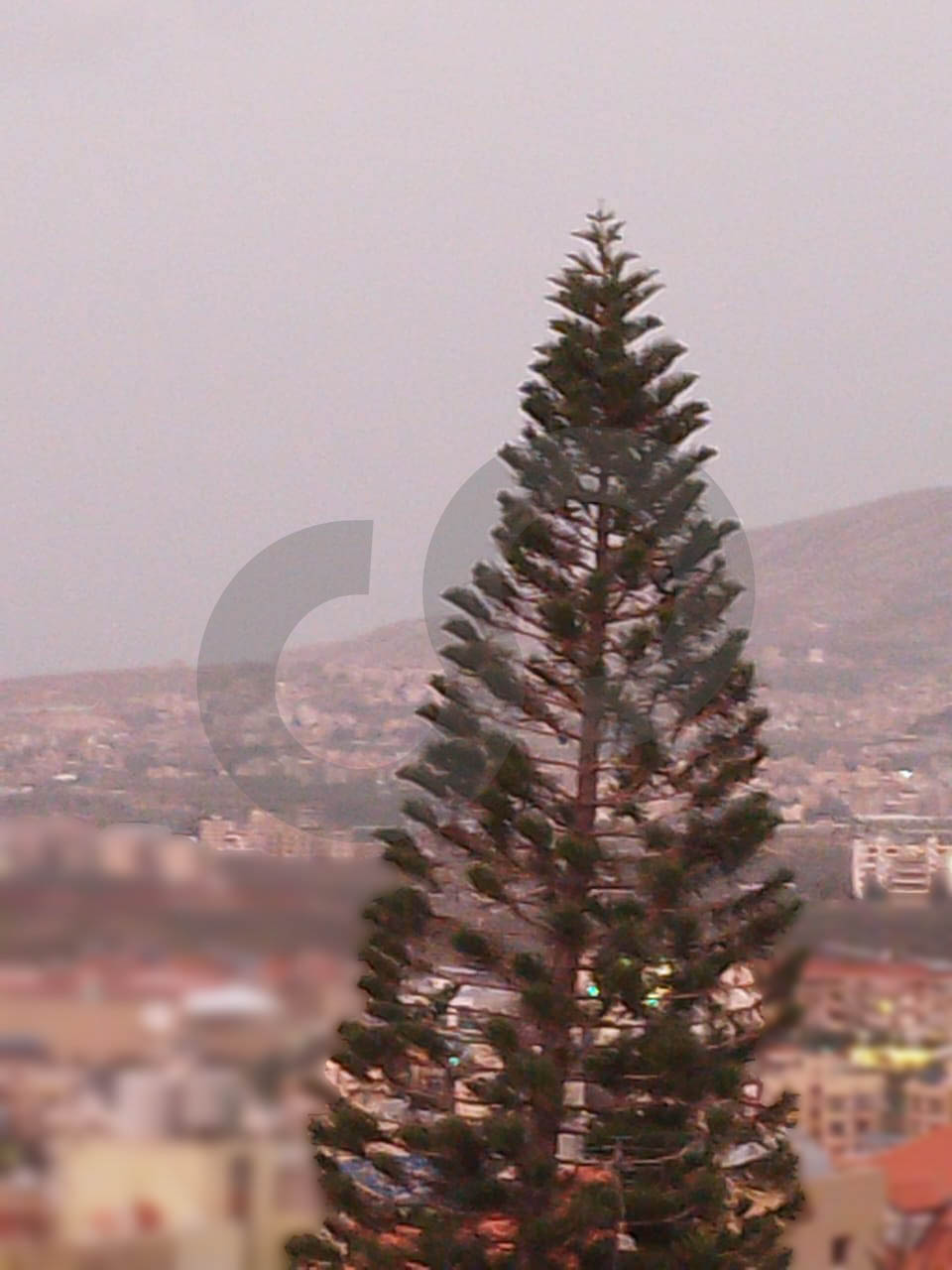 Garden of 200 sqm, Sea and Mountain View, Koura — الصورة 2