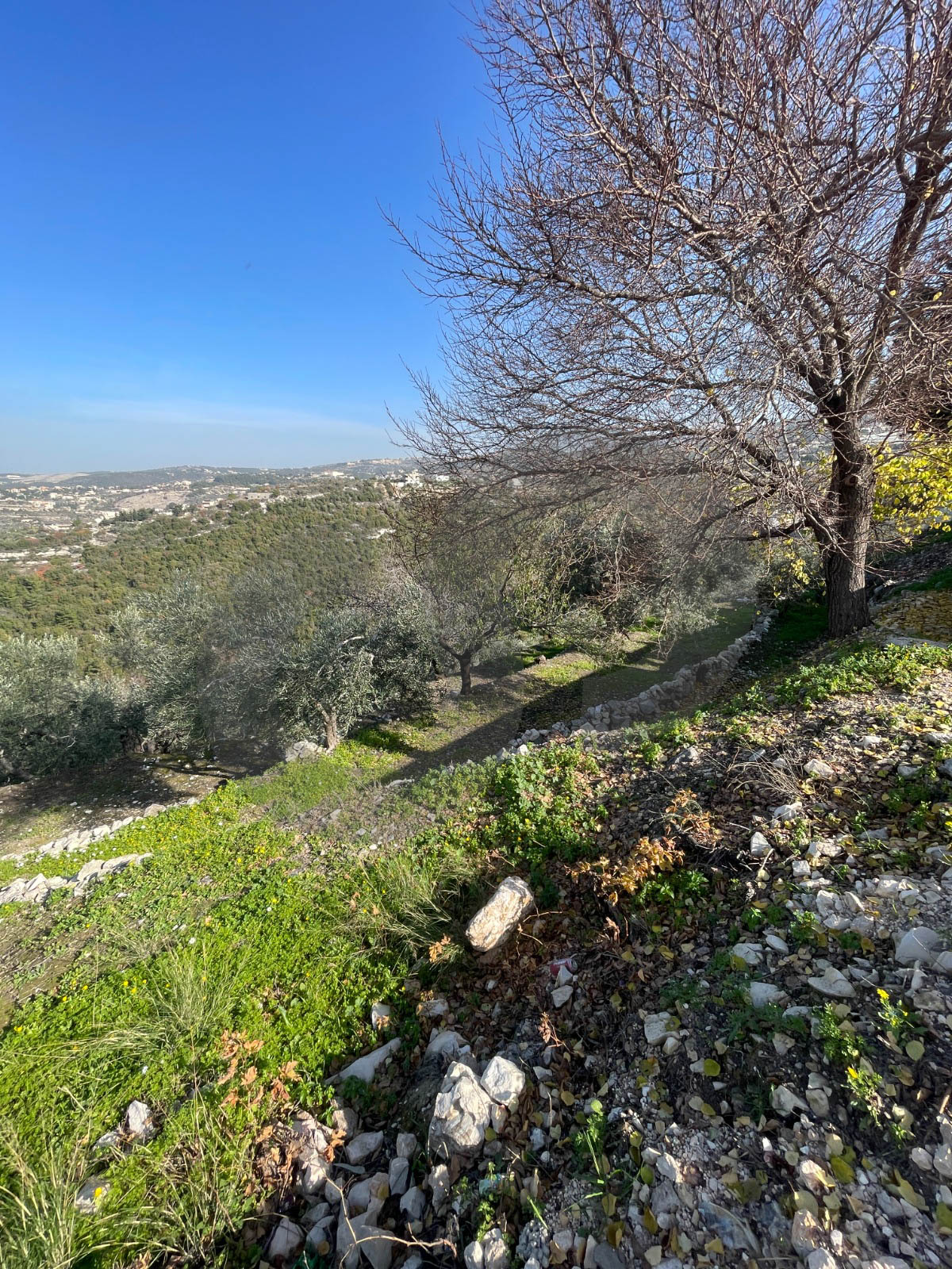 Full Sea View, 10 Minutes From Highway, Bentehel — الصورة 2