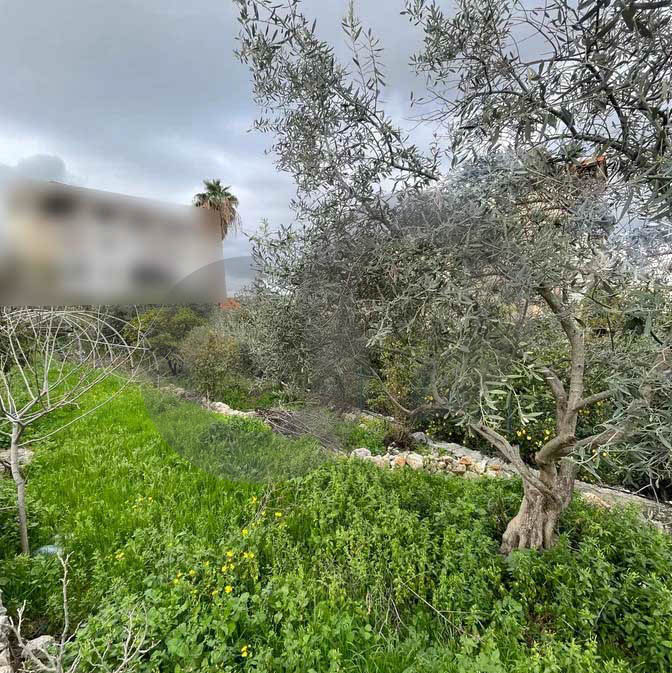 Open Sea View, Great deal, jbeil, Hboub — photo 2