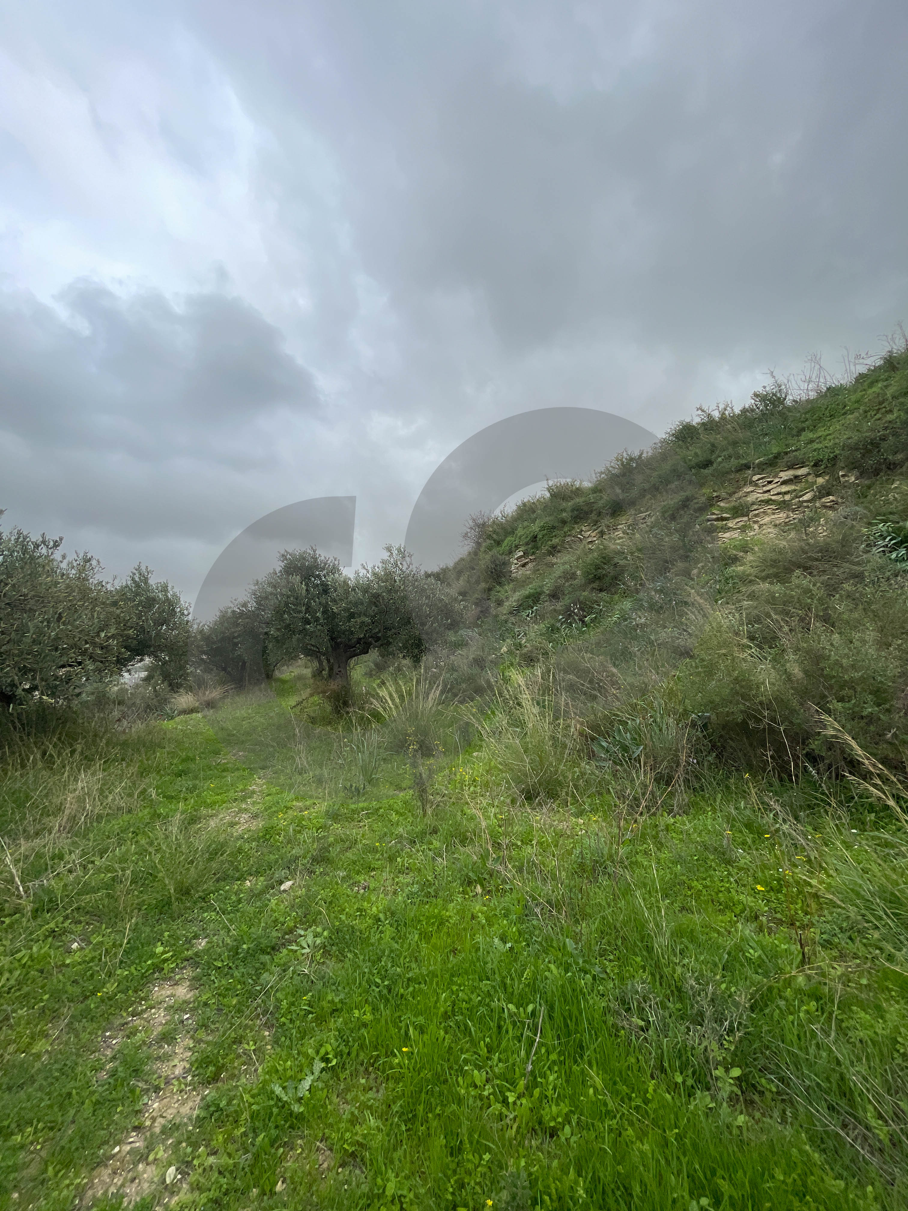 sea View, great deal, prime area, Chekka — الصورة 2
