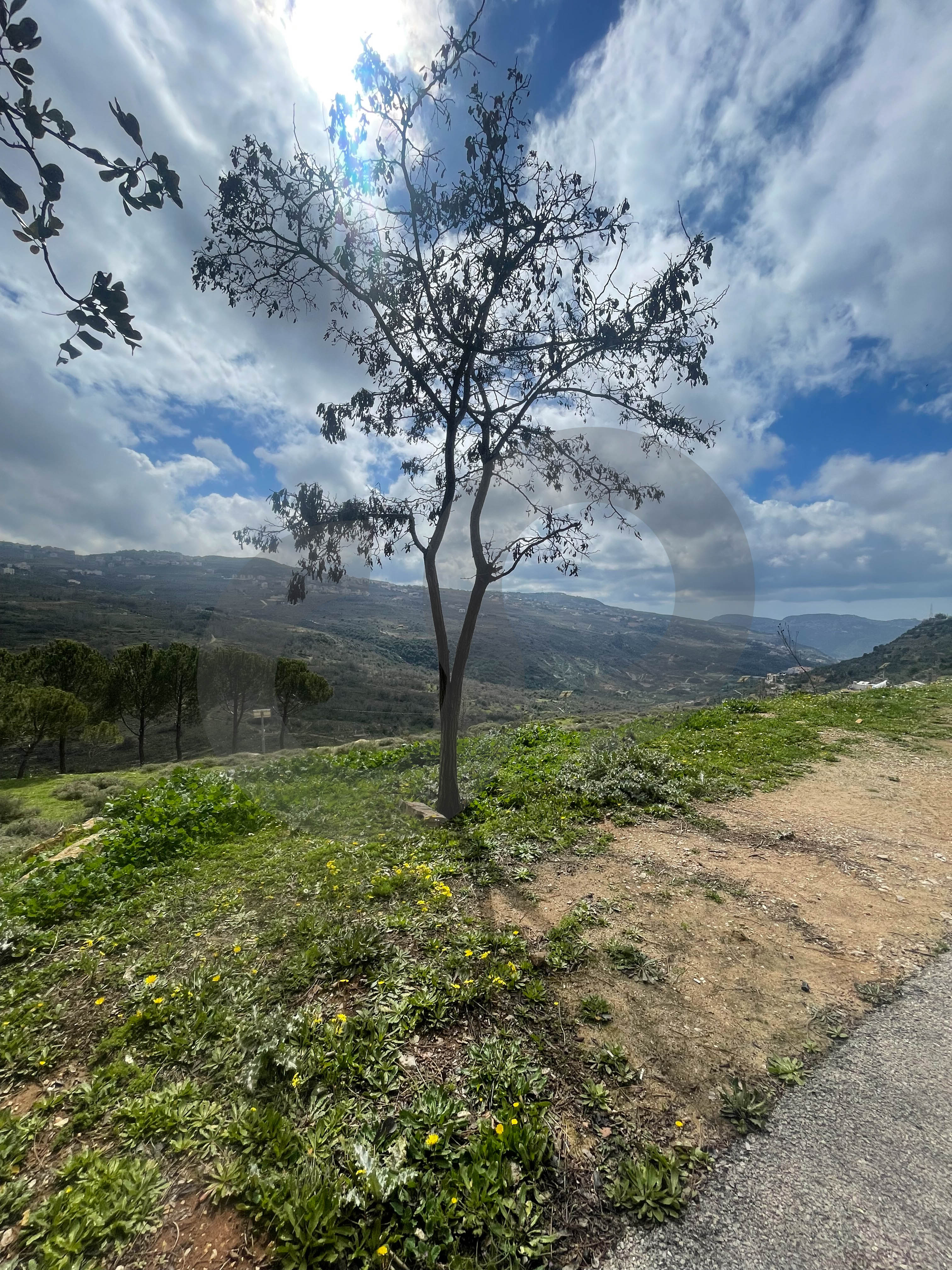 Prime Location,Surrounded by Villas, bhamdoun — الصورة 2