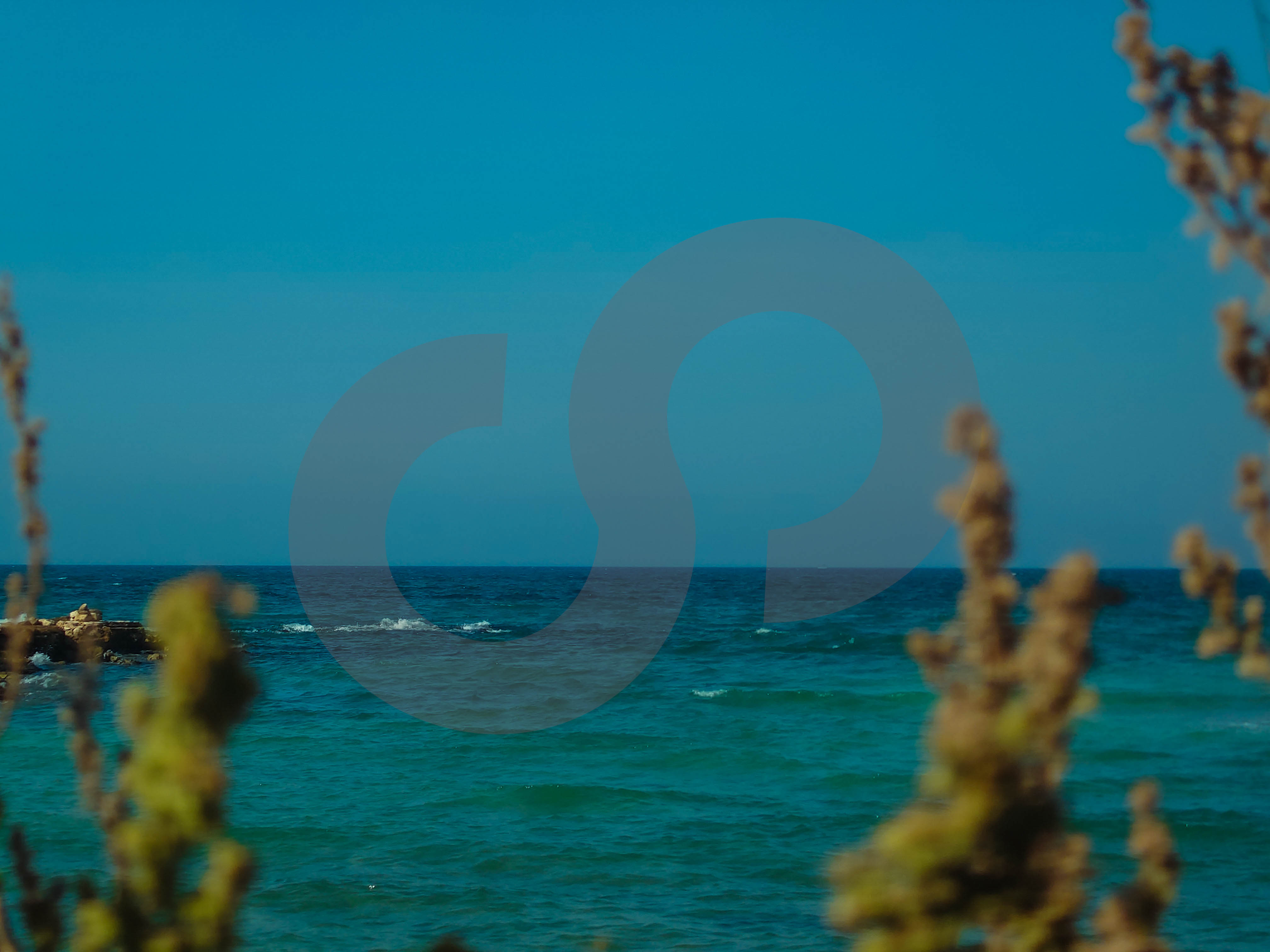 Rare Opportunity " " Anfeh,Chekka — الصورة 2