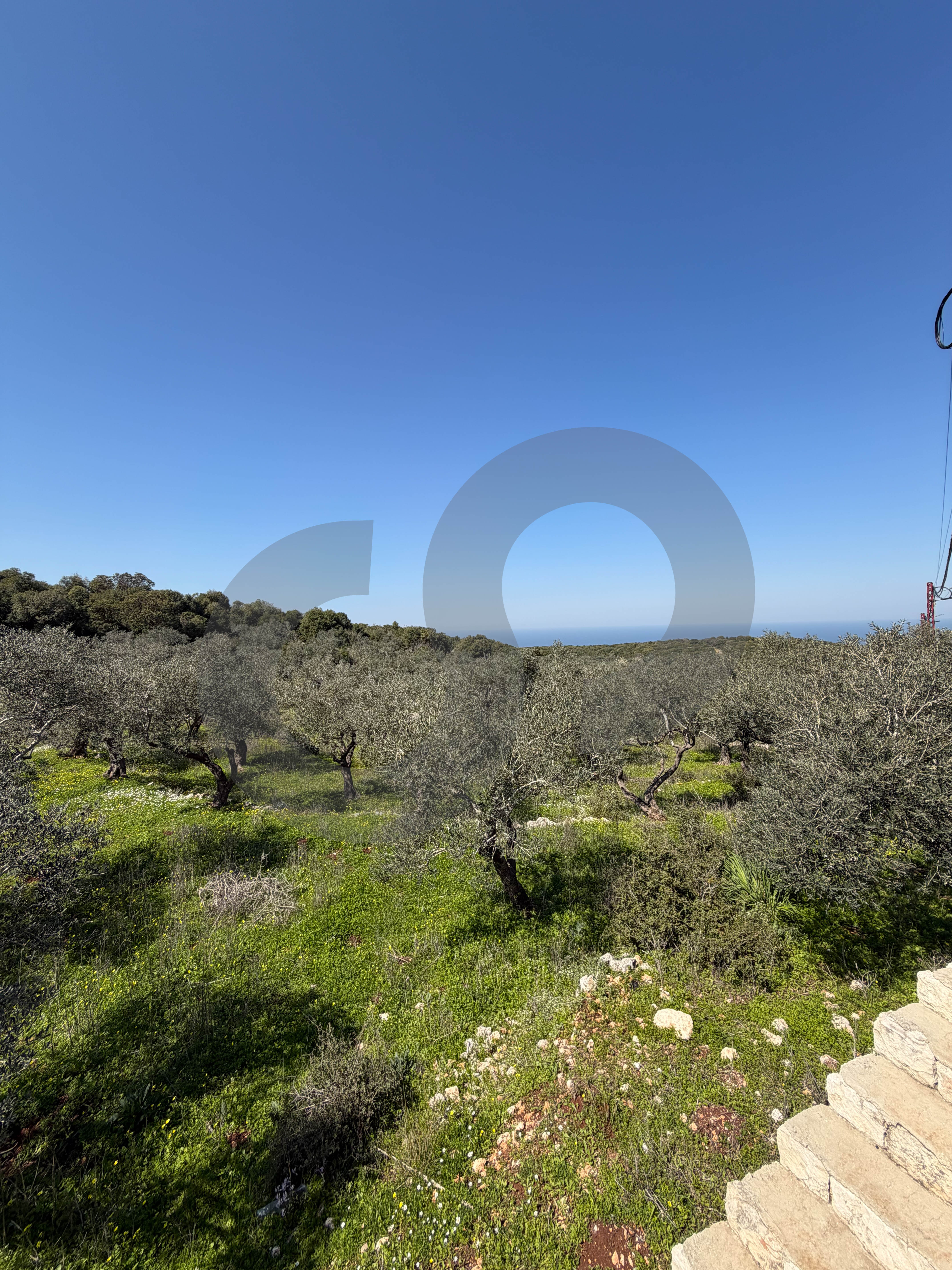 Prime Investment Opportunity, great deal, balamand — photo 2