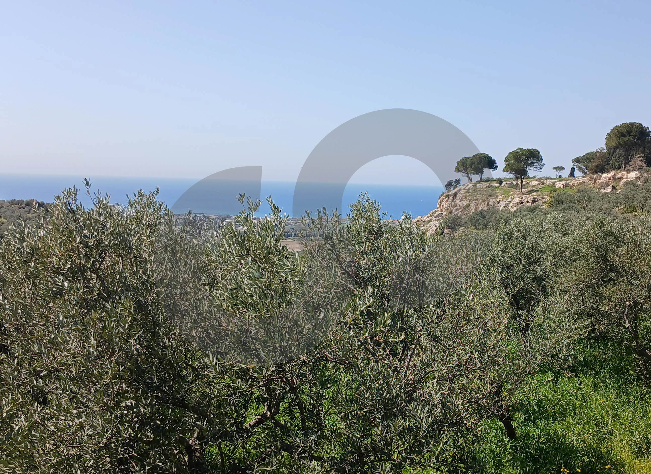 serene, picturesque setting, zakroun, koura — الصورة 2