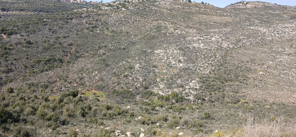 Land parcel ,stunning mountain views, Darbechtar — photo 2