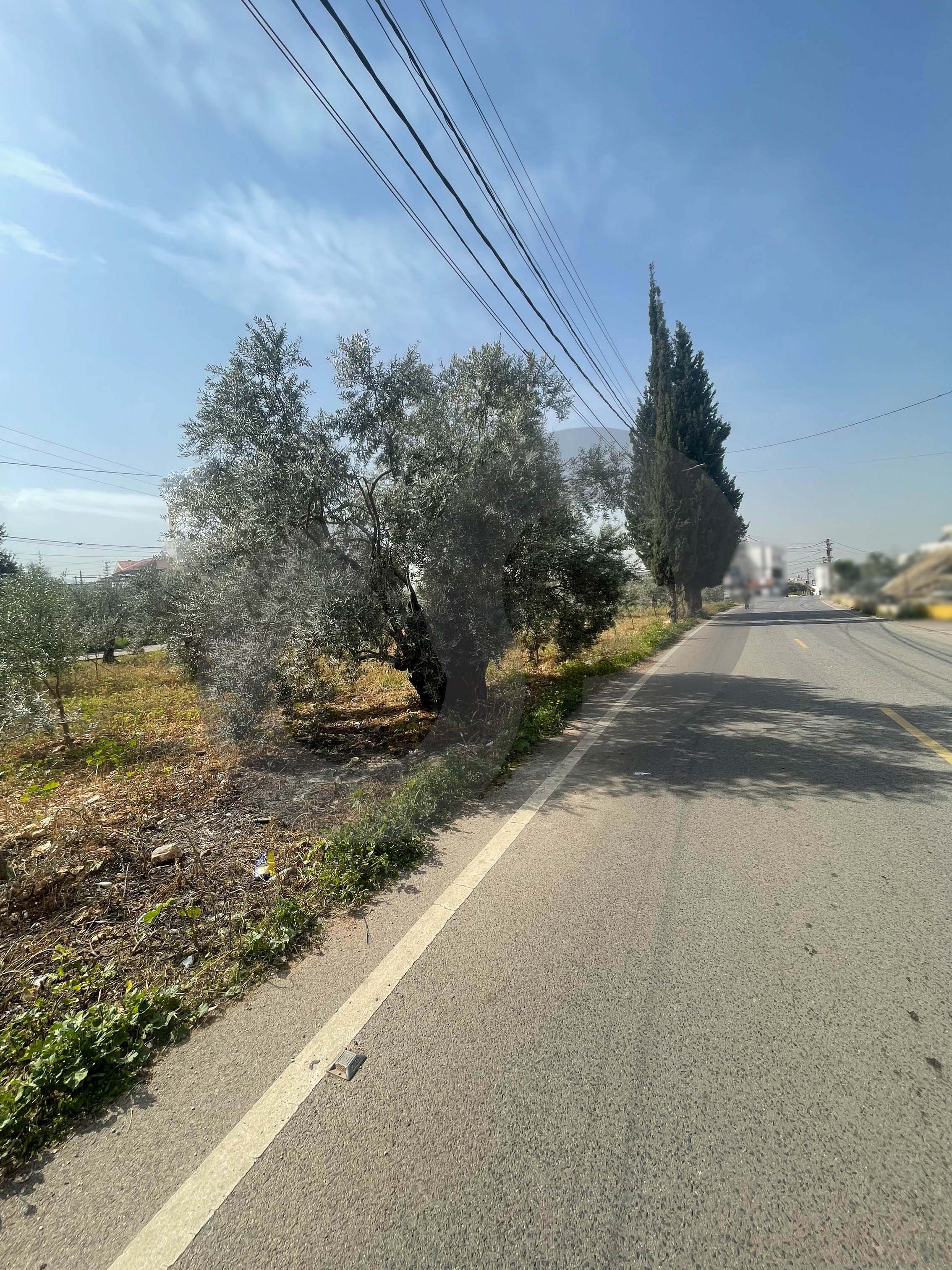 great deal, prime location, zgharta, Rashiine — الصورة 2