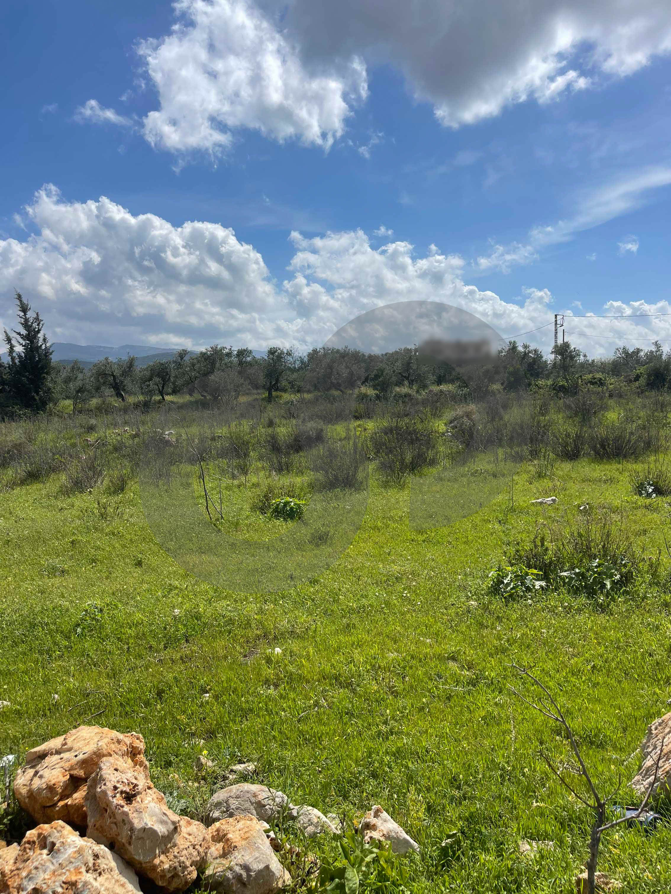 main road frontage, panoramic view, bshennine, zgharta — photo 2