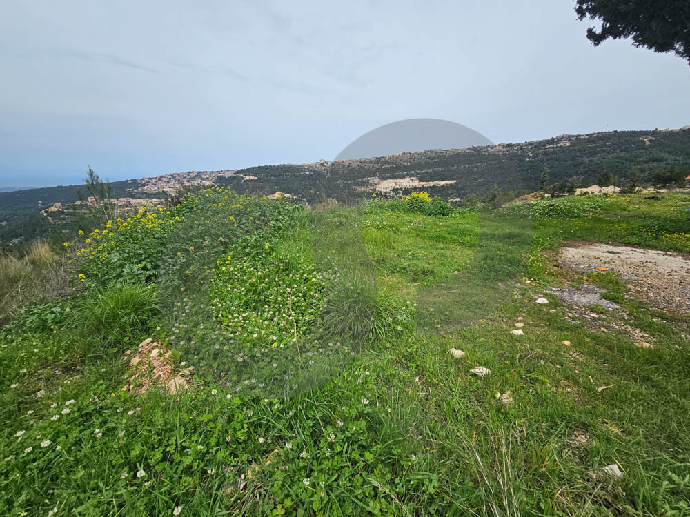 Mazraat El Toufah -Zgharta — الصورة 2