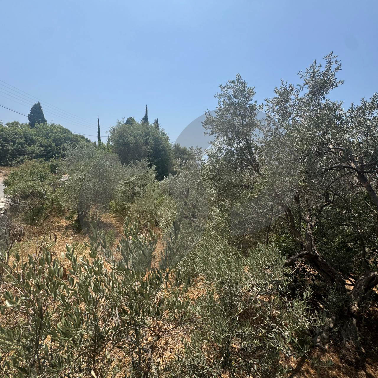 suitable for standalone house, great view,Monsef — الصورة 2