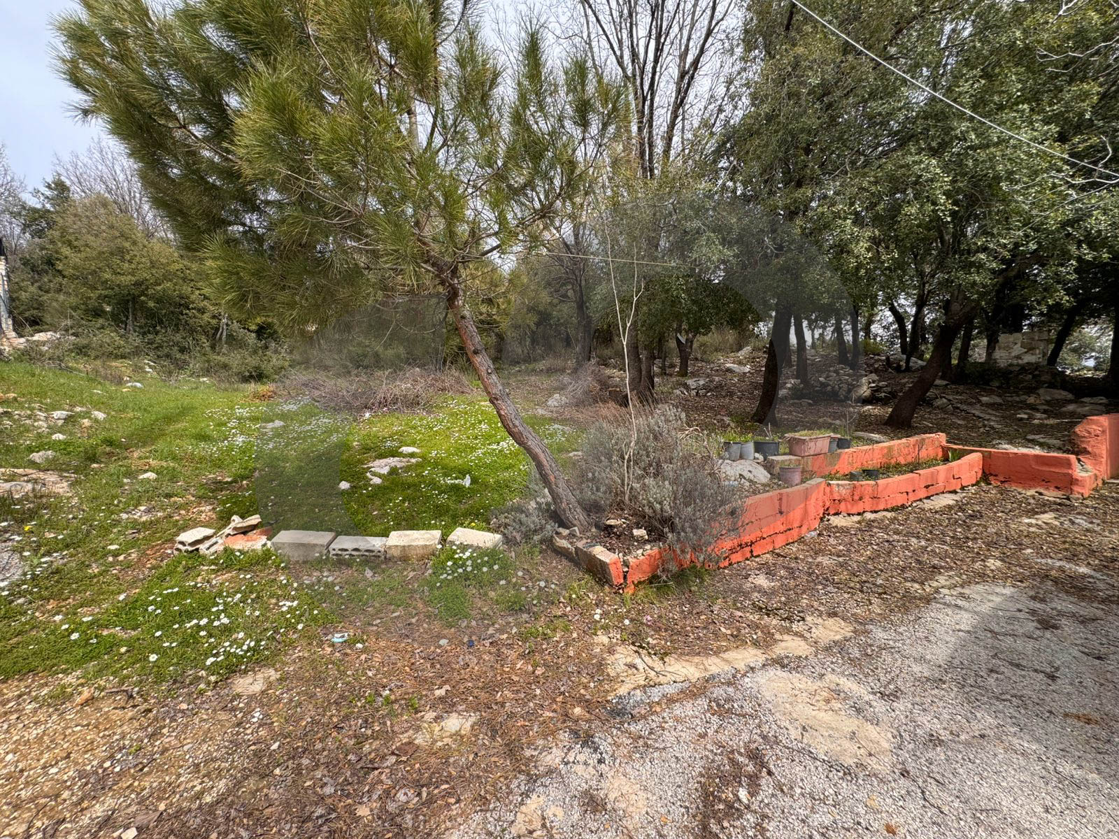 private road ,very calm area , unique plot, Aannaya — الصورة 2