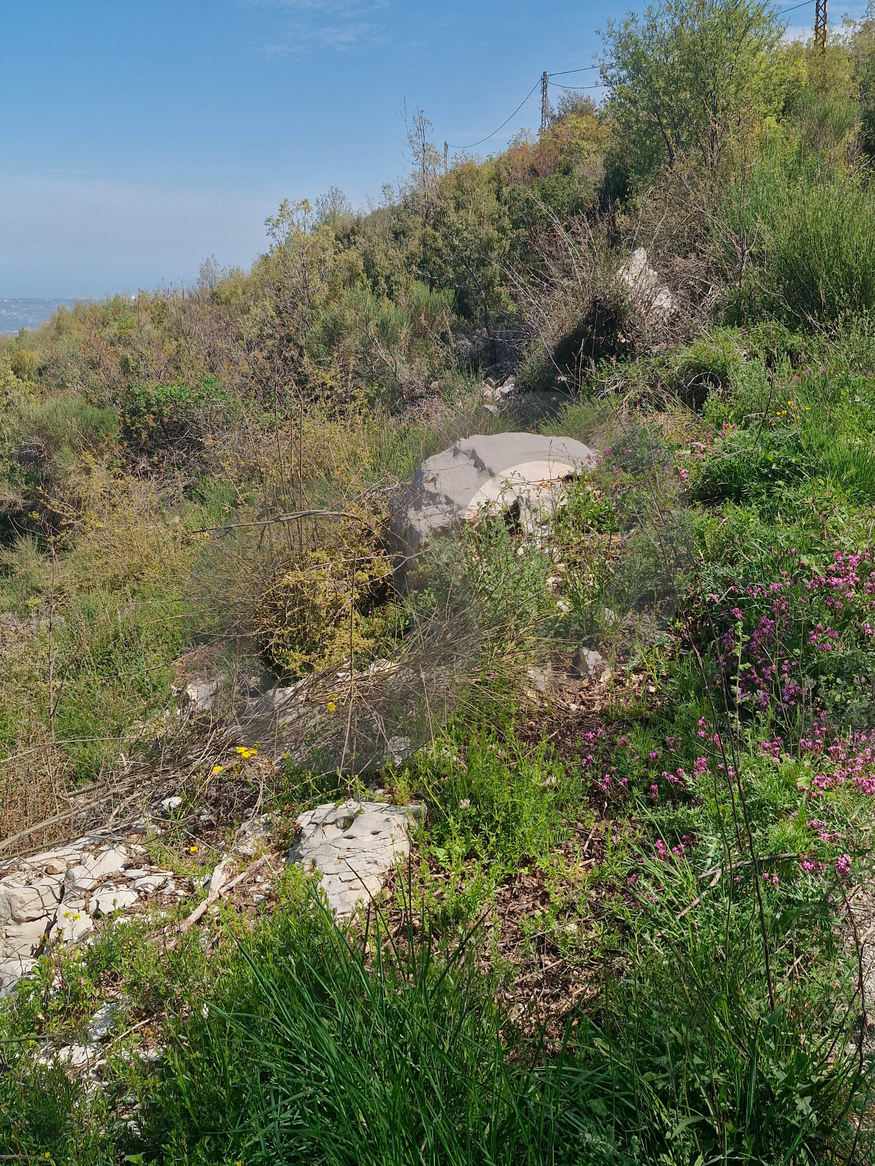 beautiful and distinguished area, sea view, Hatoun — الصورة 3