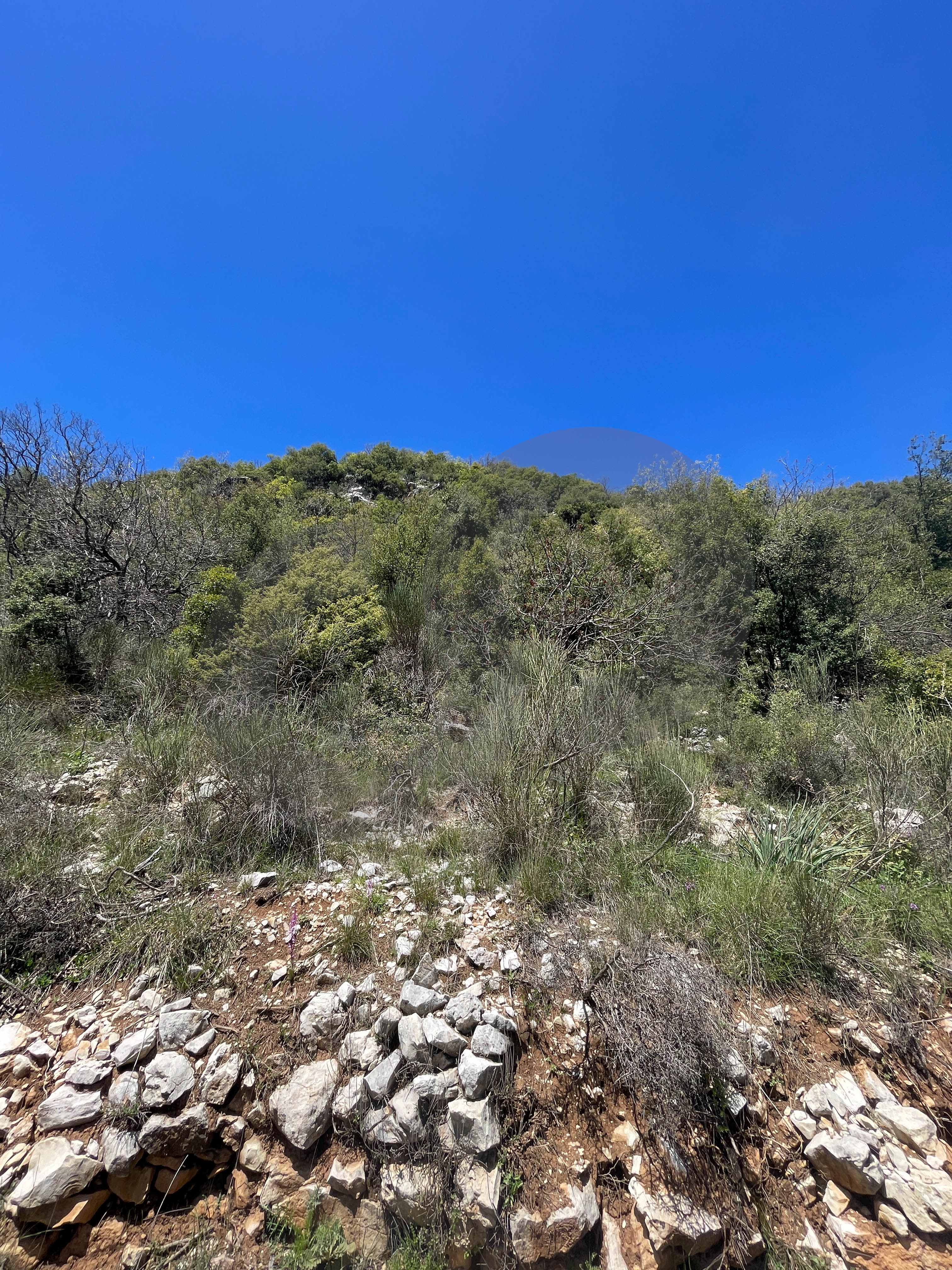 mountain, sea view, near Highway, Ehmej, Jbeil — الصورة 2