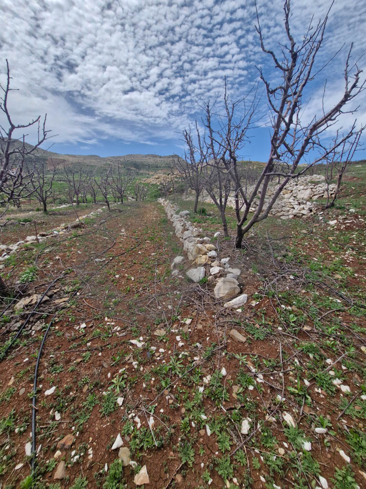Beautiful Open Mountain View,Aaqoura — photo 2
