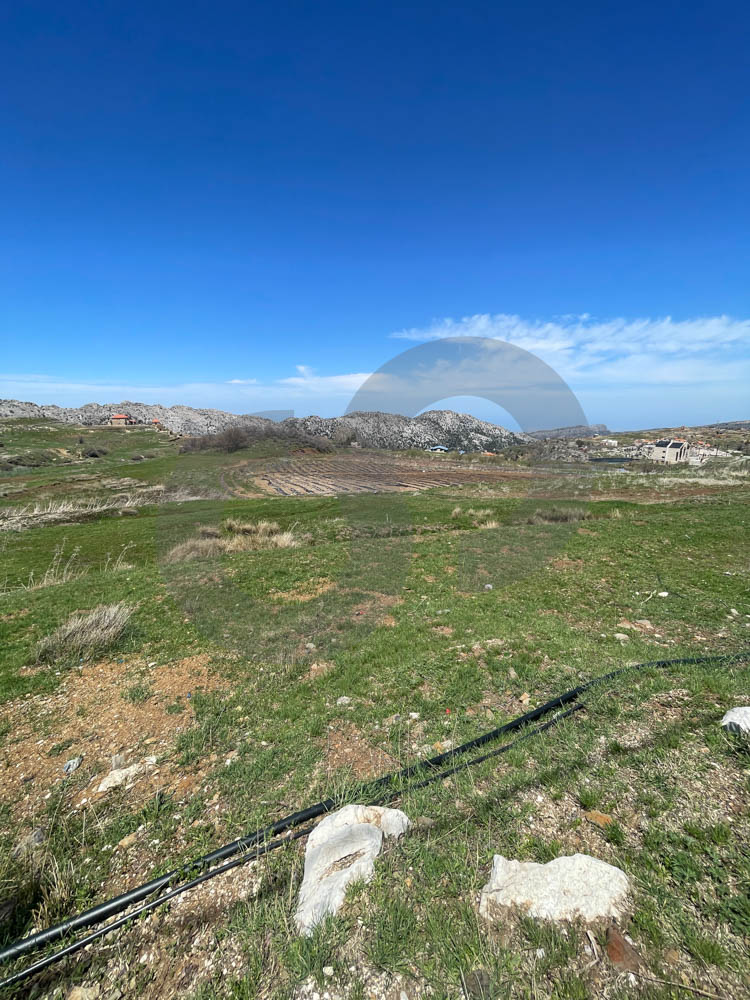 Calm and relaxing environment ,Tannourine, Batroun — الصورة 2