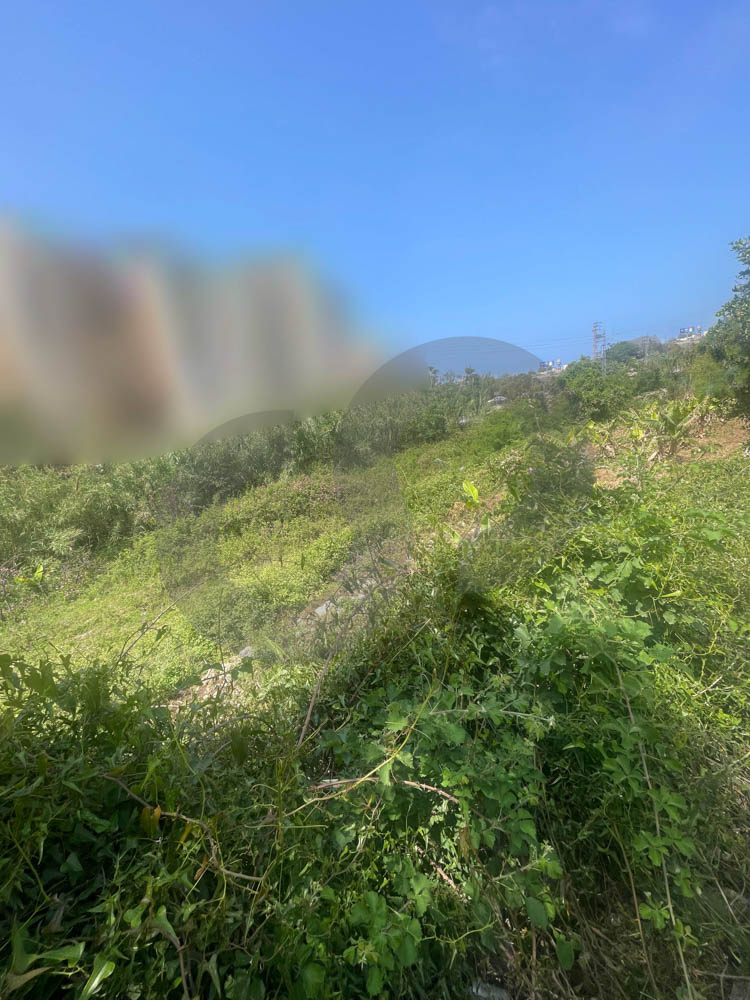 Exceptional Value, Sea View , Hot Deal Edde-Jbeil — photo 2